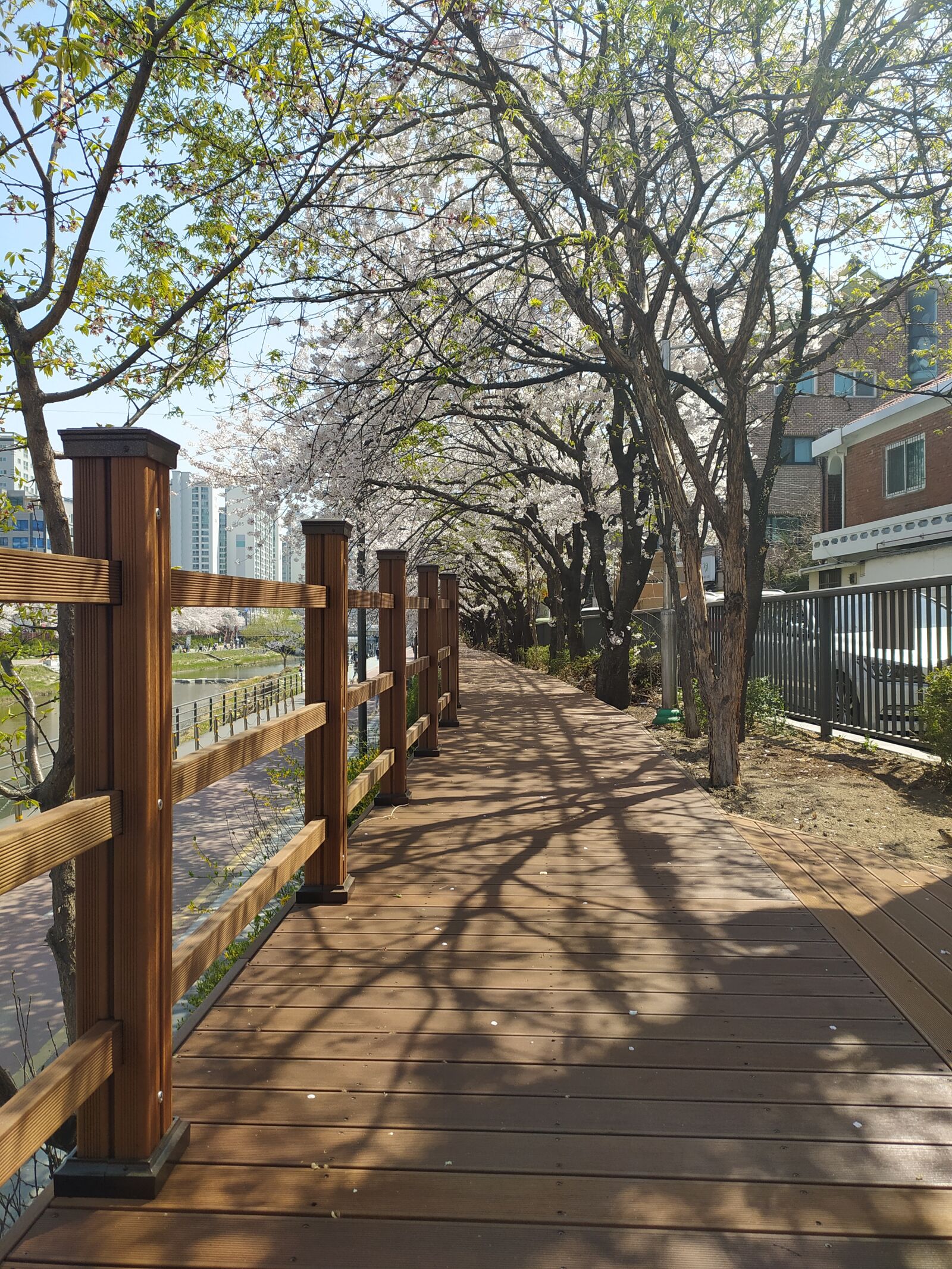Xiaomi Redmi Note 8 sample photo. Trails, rivers, we have photography
