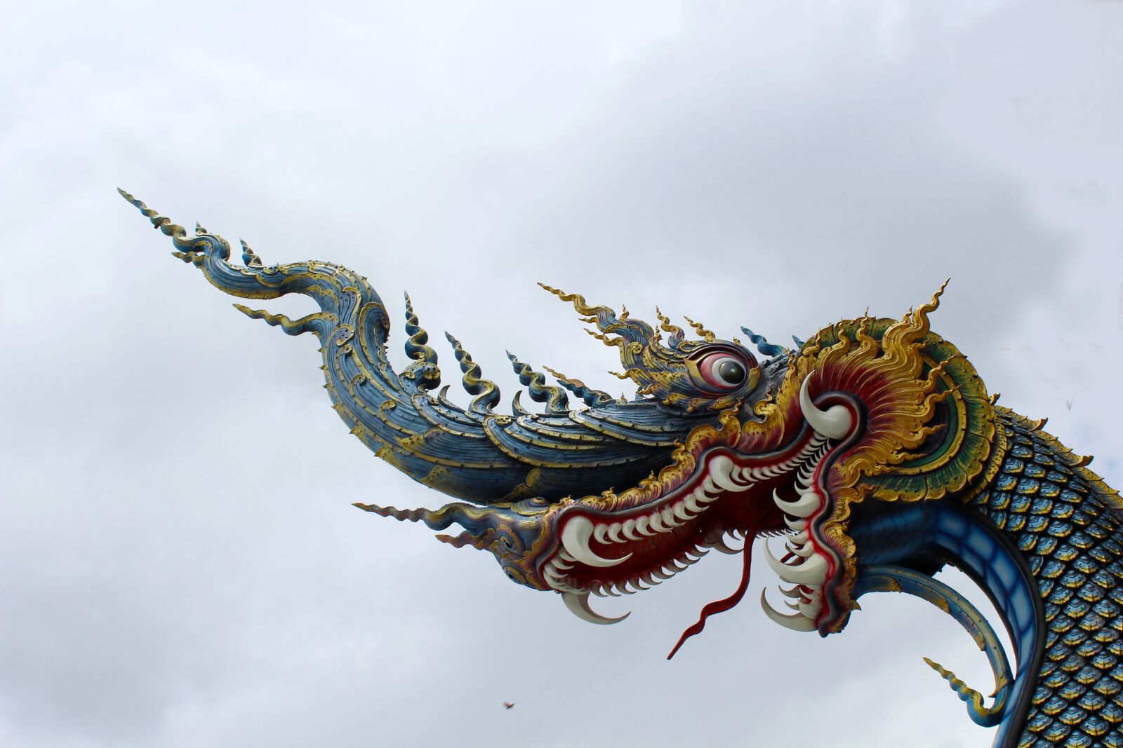 Canon EOS 600D (Rebel EOS T3i / EOS Kiss X5) sample photo. Animal, nature, dragon photography