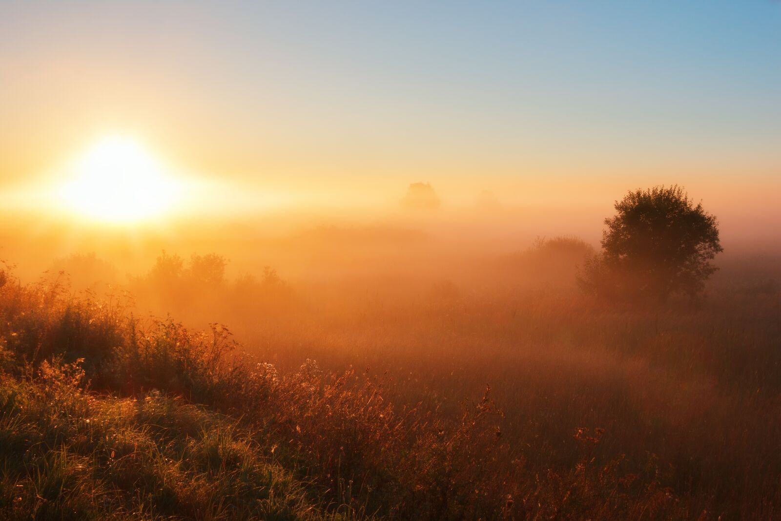 Canon EOS 550D (EOS Rebel T2i / EOS Kiss X4) sample photo. Fog, dawn, sunset photography