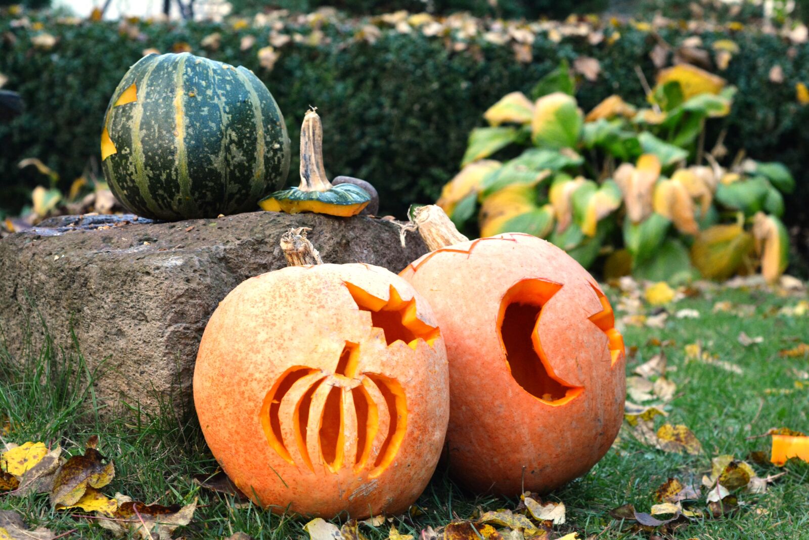 Nikon D5200 sample photo. Pumpkins, pumpkin, halloween photography