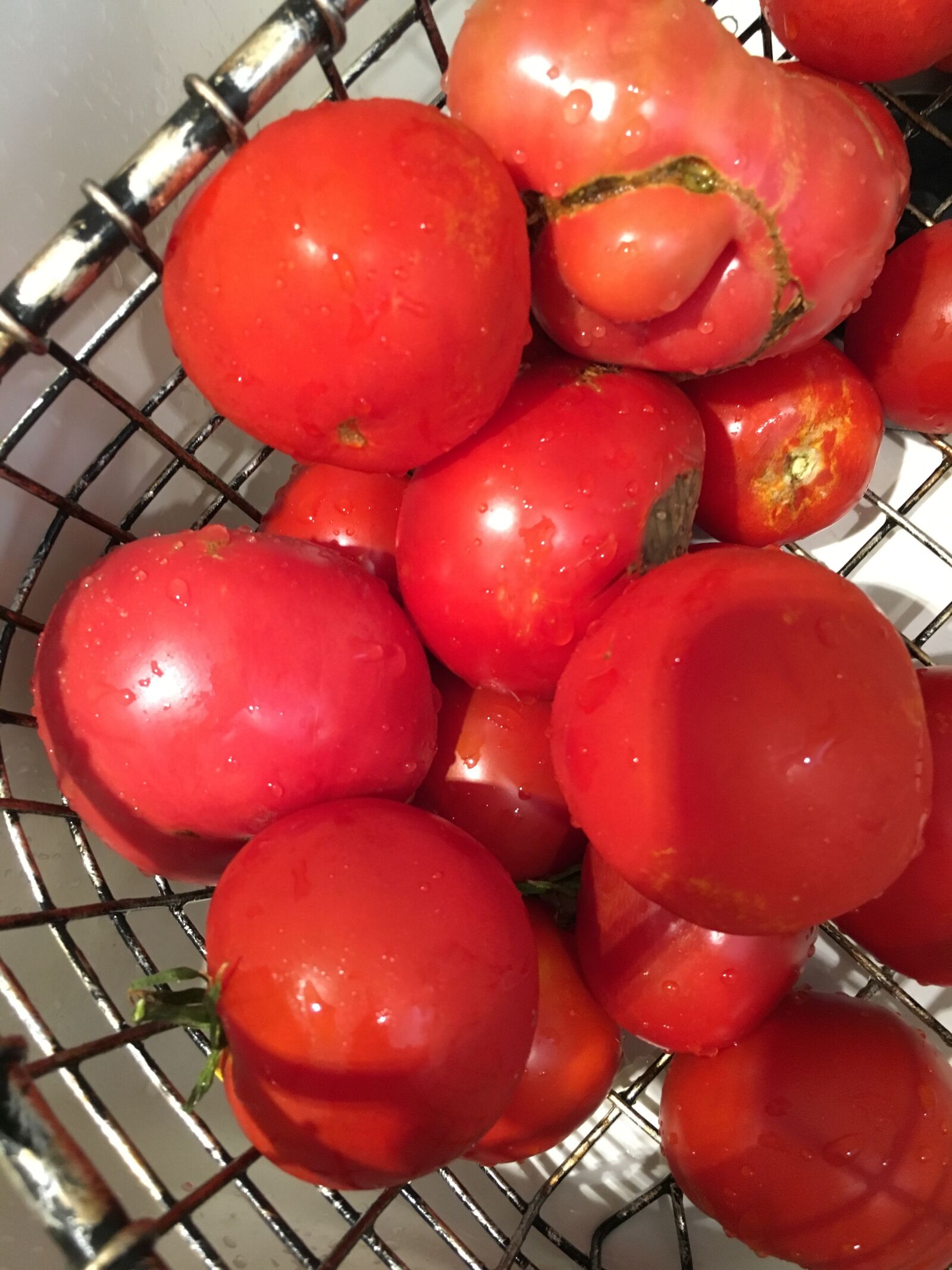 Apple iPhone 6s sample photo. Fresh, vegetable, summer, tomato photography