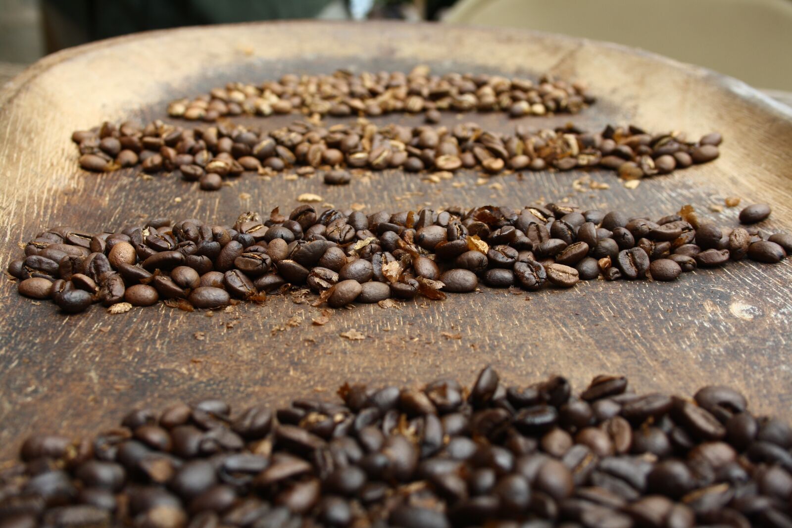 Canon EOS 1000D (EOS Digital Rebel XS / EOS Kiss F) sample photo. Coffee, bean, coffee beans photography