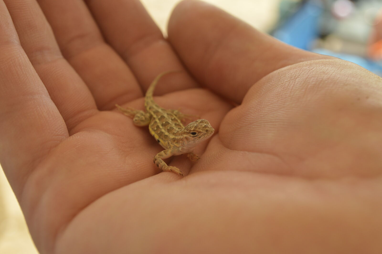 Nikon D3200 sample photo