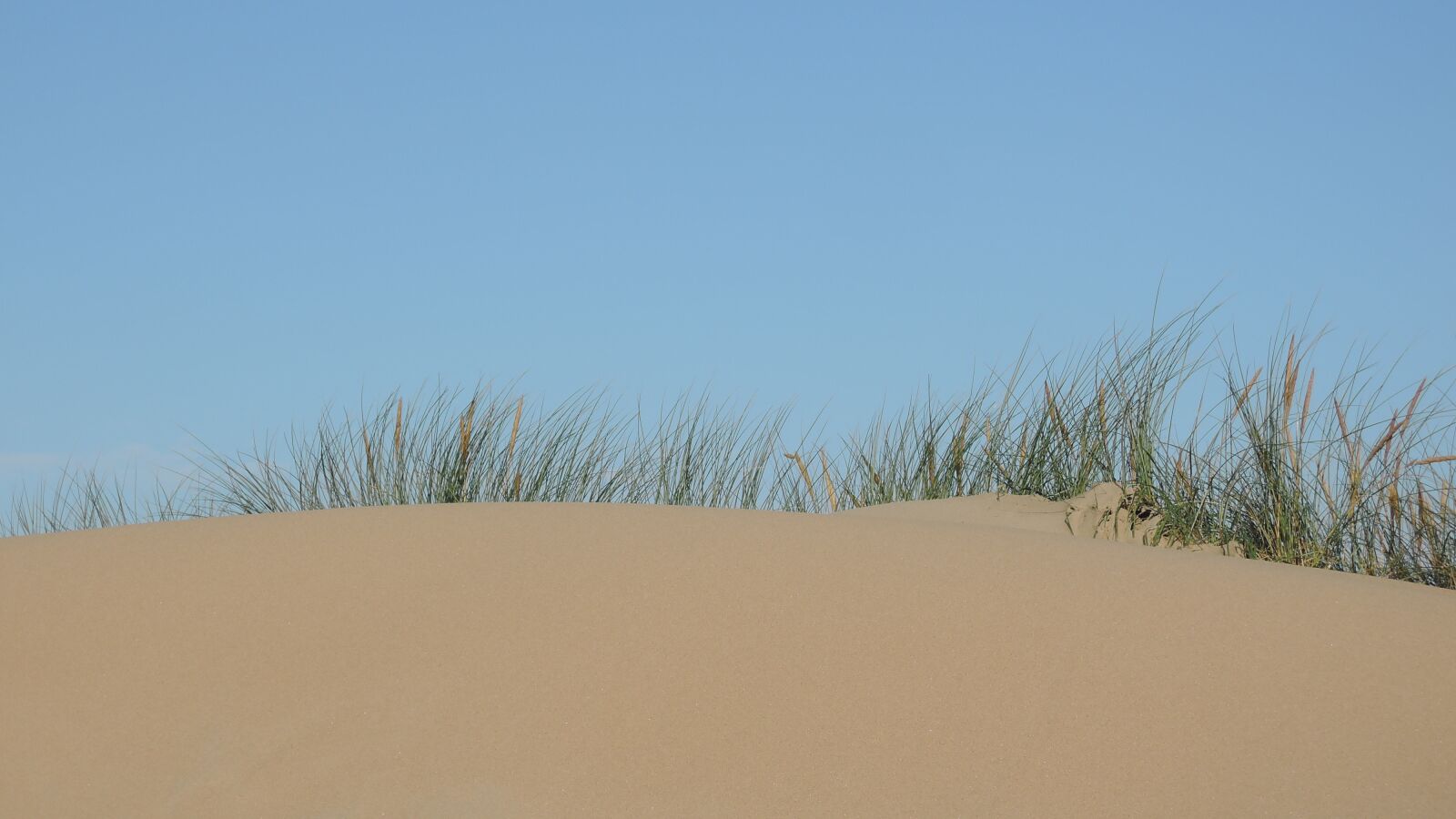 Nikon Coolpix P330 sample photo. Dunes, north sea, dutch photography