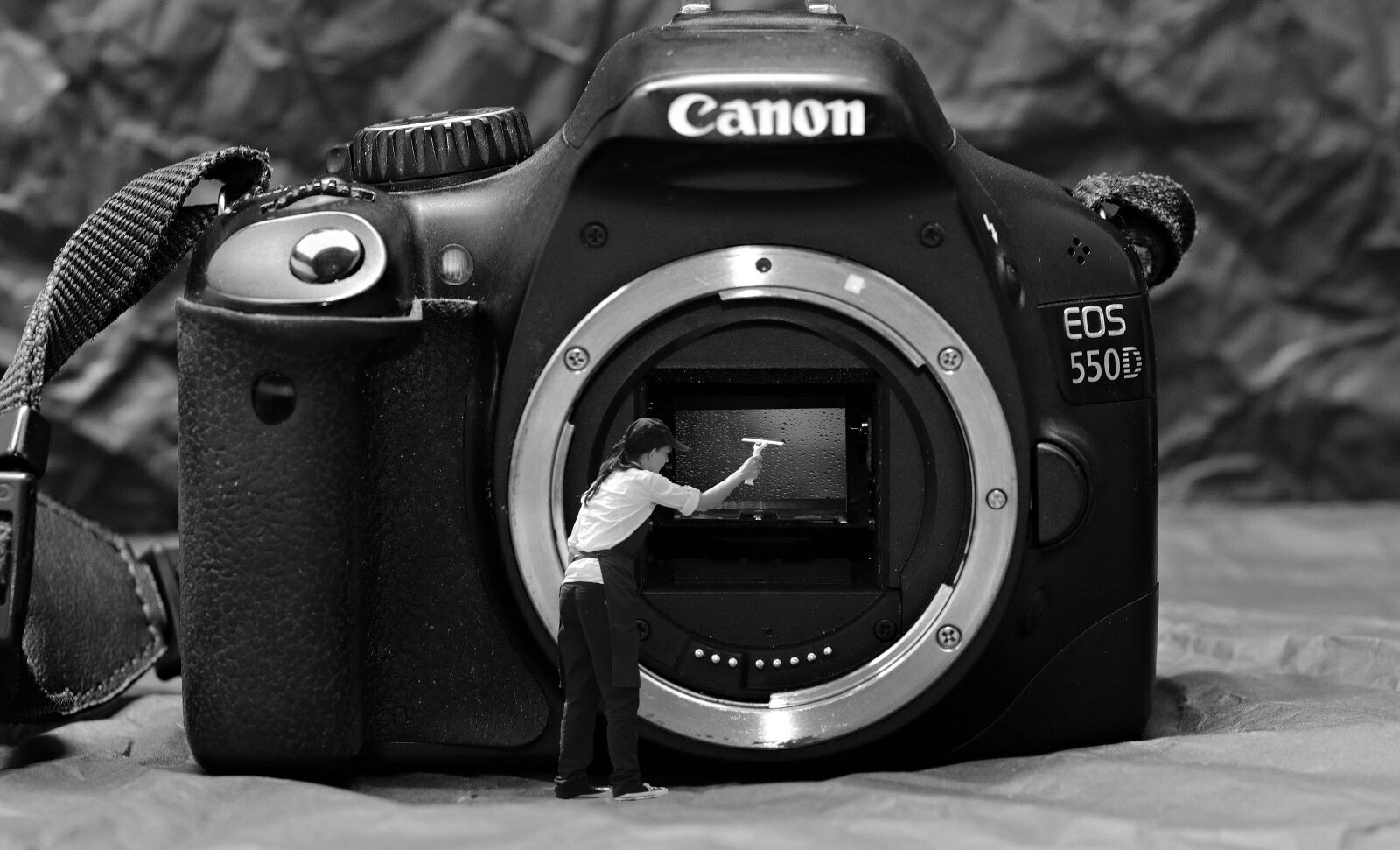 Canon EOS 80D sample photo. Fr hjahrsputz, sensor cleaning photography