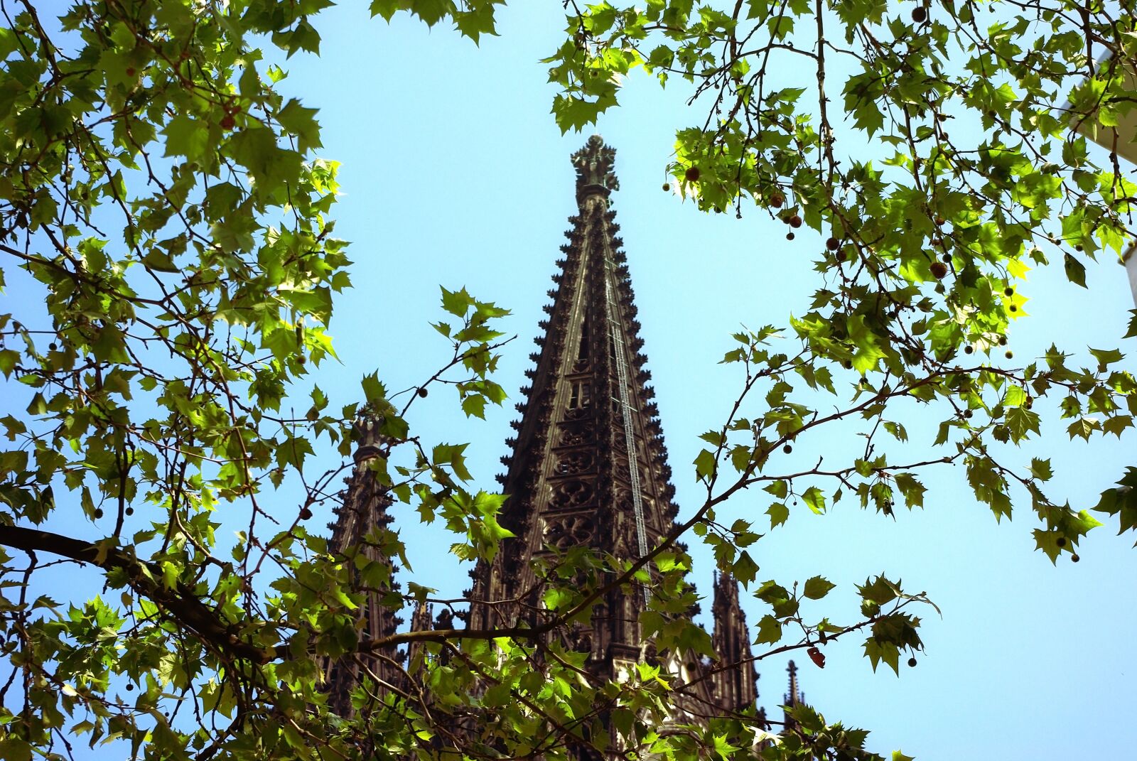 Pentax K-m (K2000) sample photo. Church, dom, cologne cathedral photography