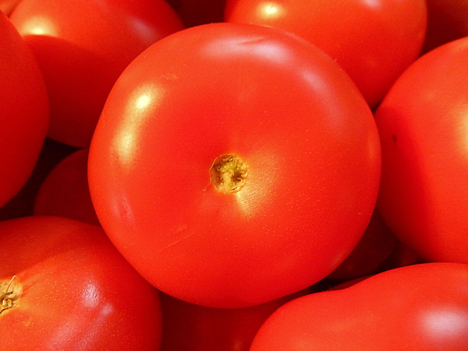 Nikon Coolpix S9900 sample photo. Tomatoes, fruit, vegetables photography