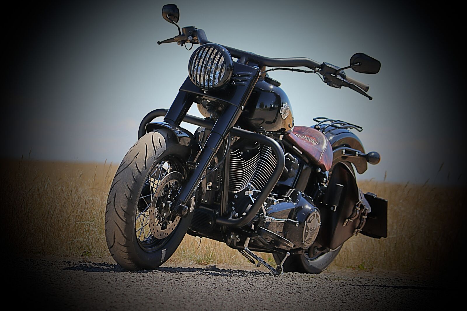Canon EOS 200D (EOS Rebel SL2 / EOS Kiss X9) sample photo. Harley, softail, slims photography