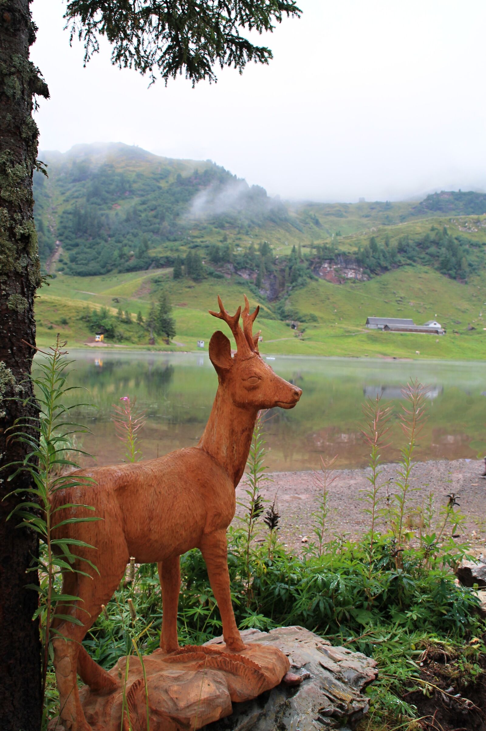 Canon EOS 1100D (EOS Rebel T3 / EOS Kiss X50) sample photo. Switzerland, hart, doe photography