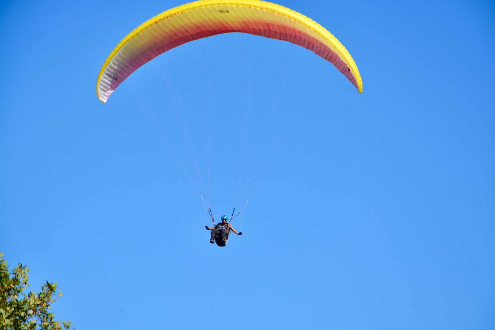 Nikon D5200 sample photo. Paragliding, paraglider, paragliding professional photography