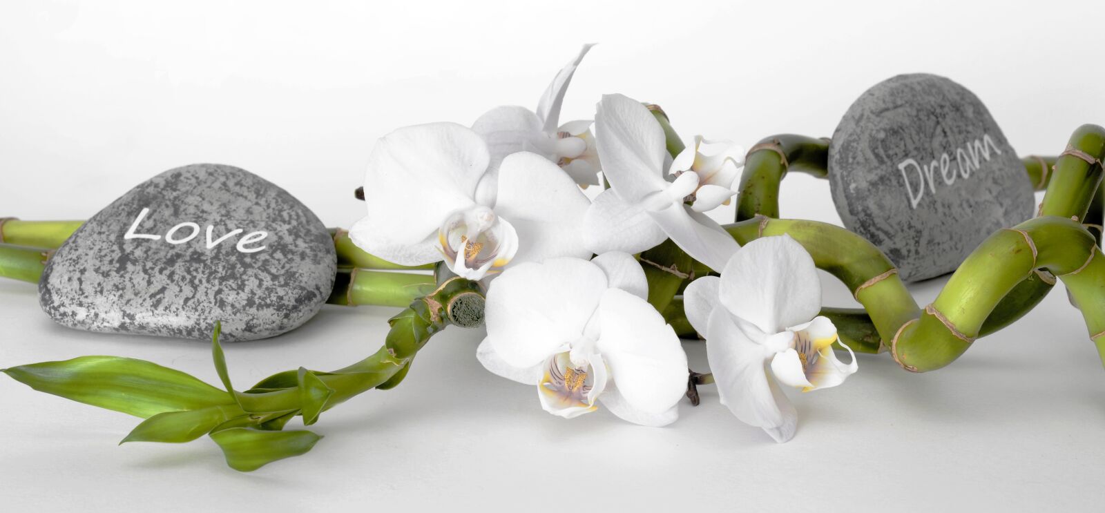 Nikon D7100 sample photo. Orchid, orchid flower, bamboo photography