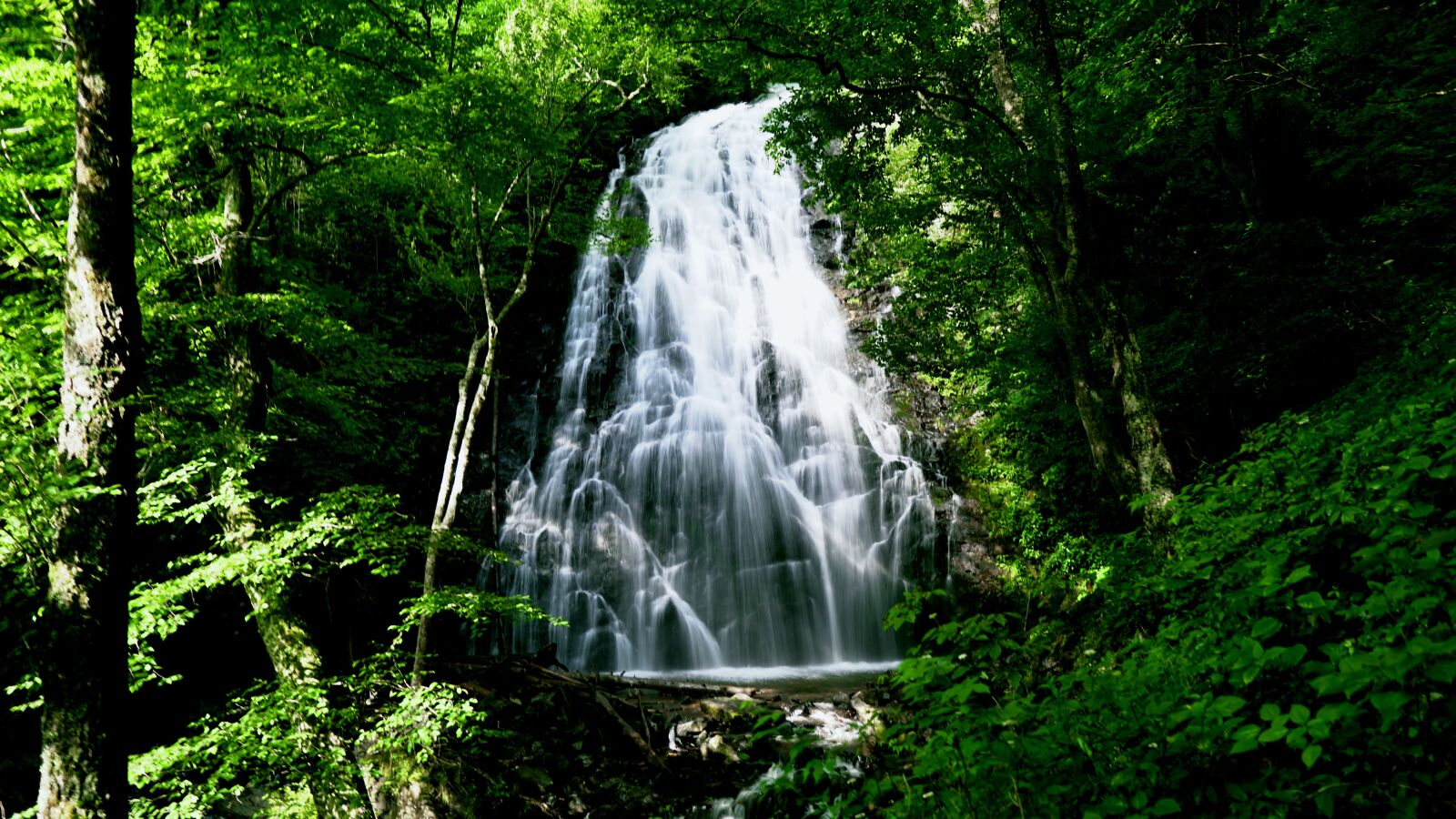 Sigma 16mm F1.4 DC DN | C sample photo. Waterfall, nature, water photography