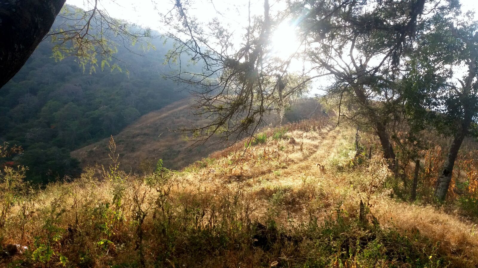 Samsung Galaxy J5 sample photo. Paisajes, naturaleza, puesta de photography
