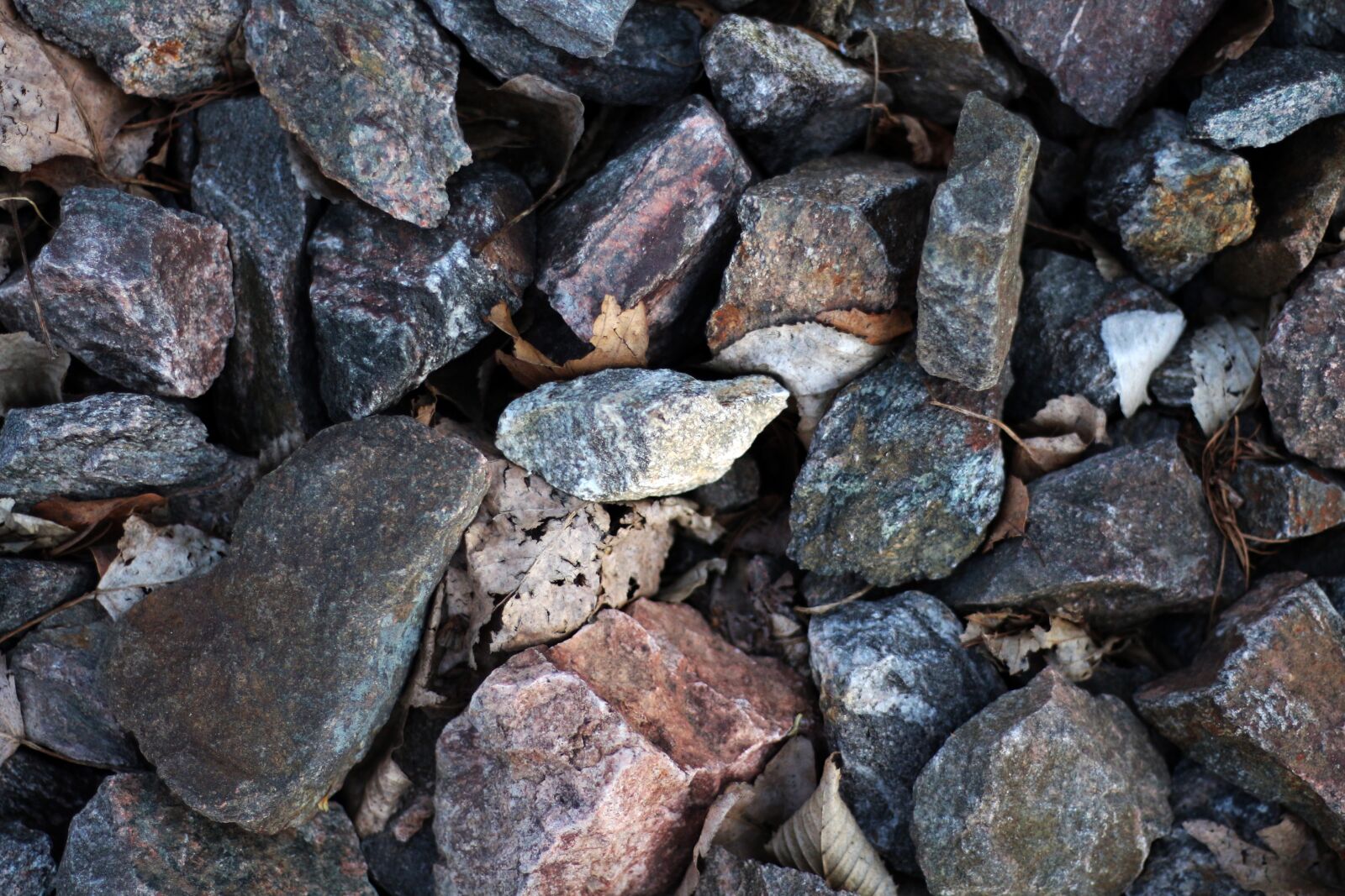 Canon EOS 650D (EOS Rebel T4i / EOS Kiss X6i) + Canon EF 50mm F1.8 STM sample photo. Stone, stones, nature photography