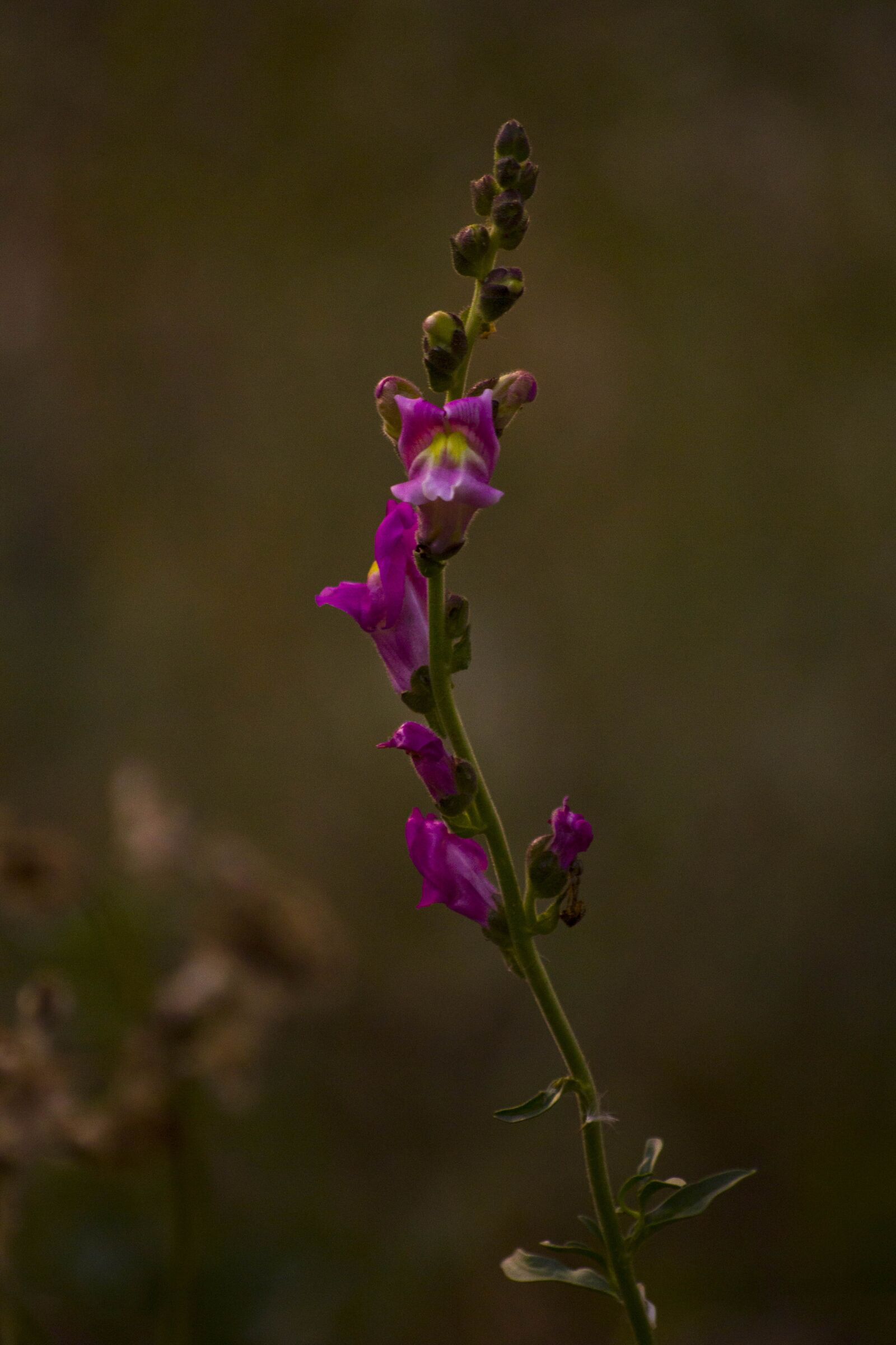 Canon EOS 700D (EOS Rebel T5i / EOS Kiss X7i) sample photo. Crimea, sevastopol, russia photography