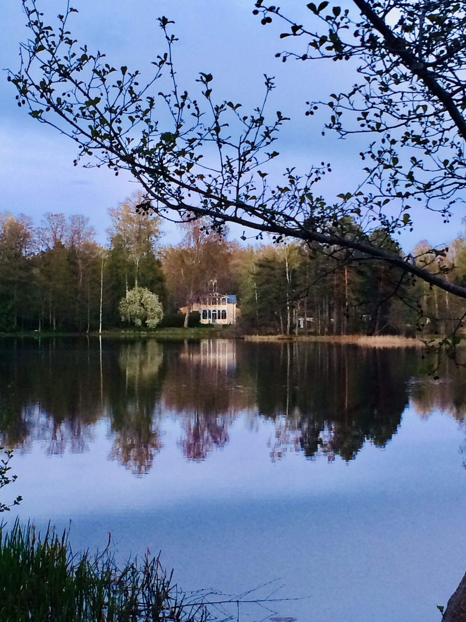 iPhone 5s back camera 4.15mm f/2.2 sample photo. Nature, dust, mirroring photography