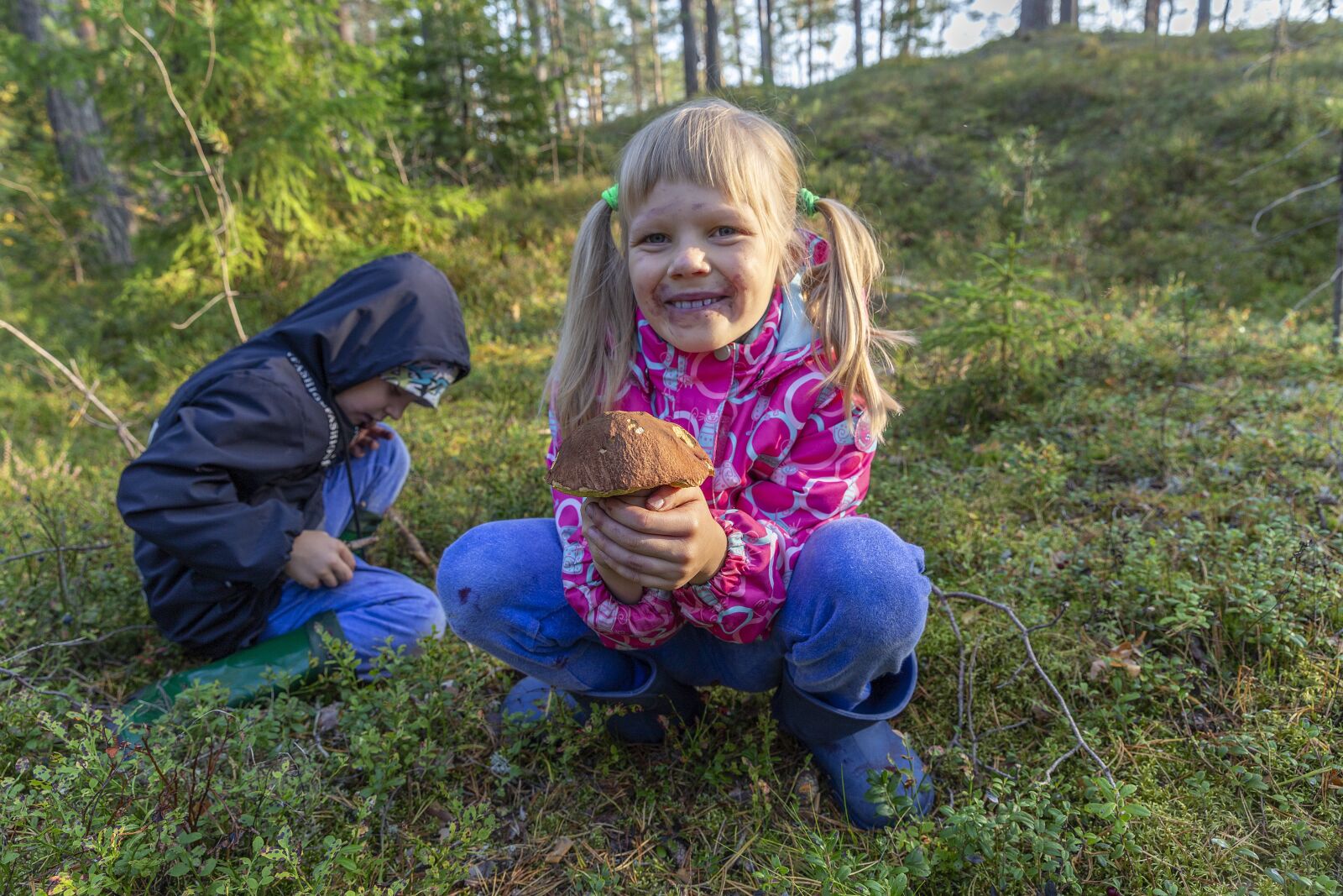 Canon EOS 6D + Canon EF 24-70mm F2.8L II USM sample photo. Mushrooms, mushroom pickers, quiet photography