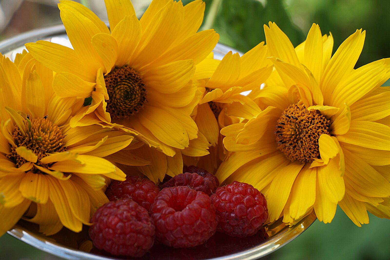 Sony a6000 sample photo. Yellow flowers, malin, food photography