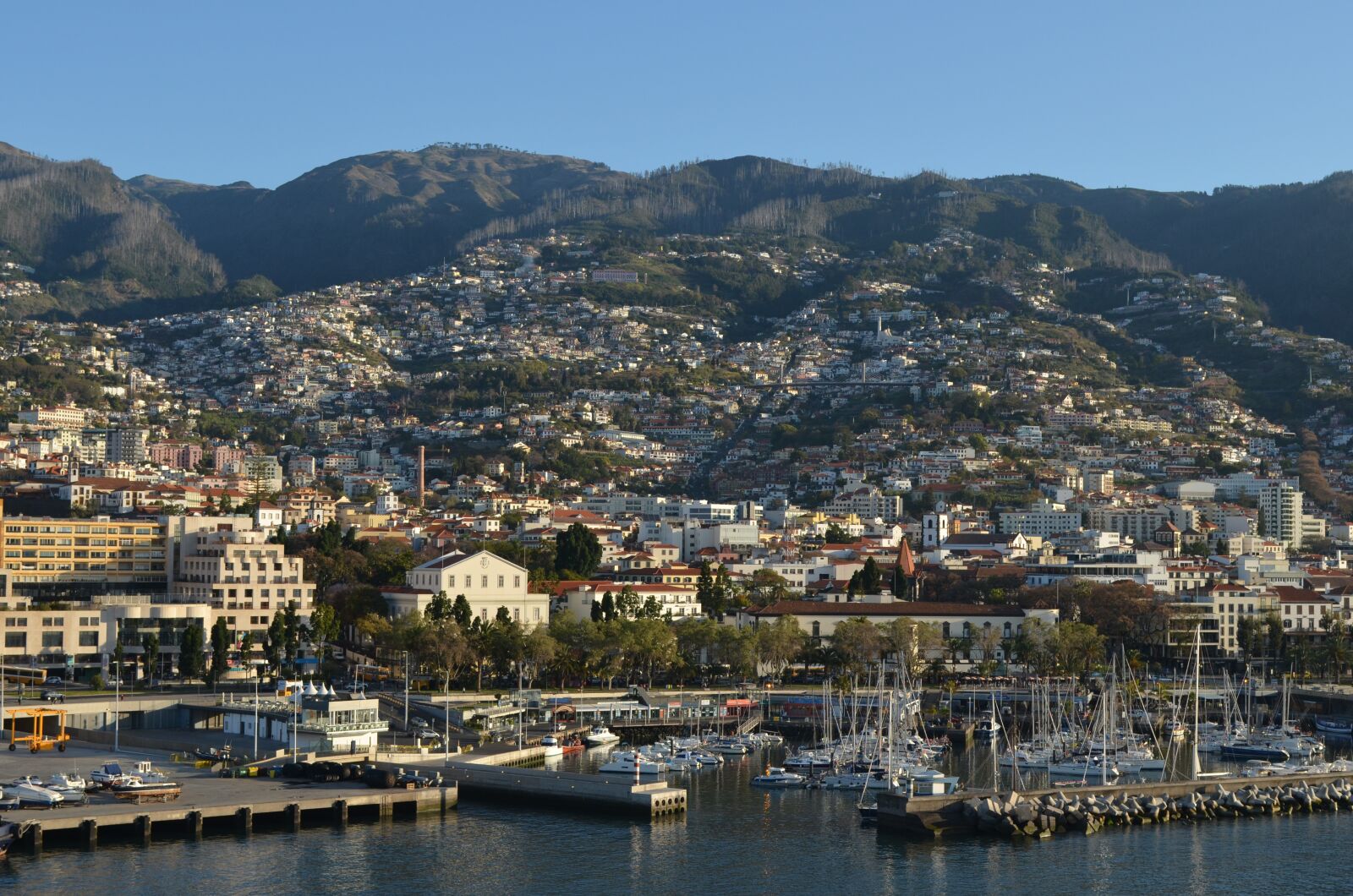 Nikon D5100 sample photo. Madeira, port, portugal photography