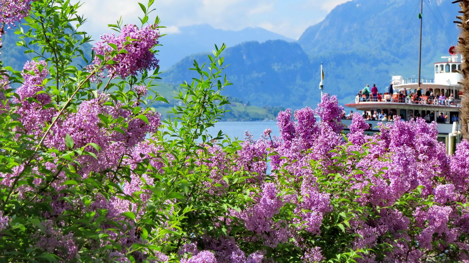 Canon PowerShot SX50 HS sample photo. Landscape, nature, switzerland photography