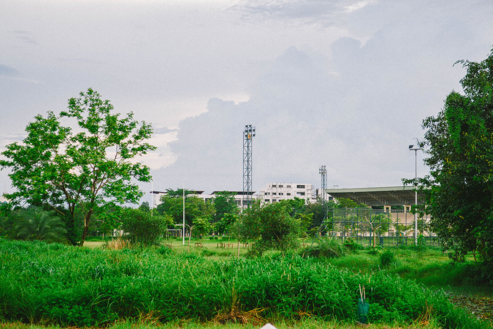 Nikon D5200 sample photo