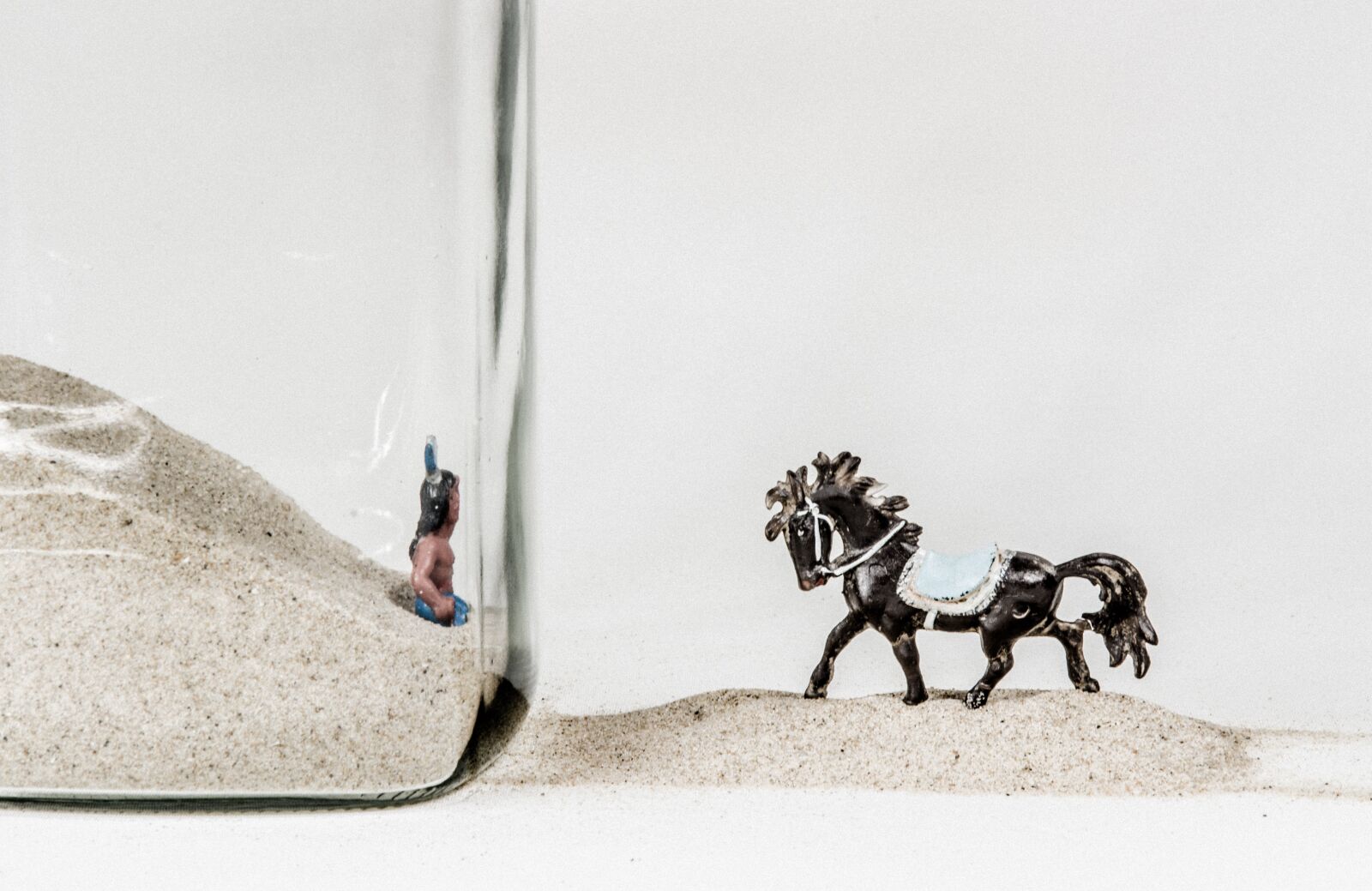 Nikon D7000 sample photo. Glass, still life, horse photography
