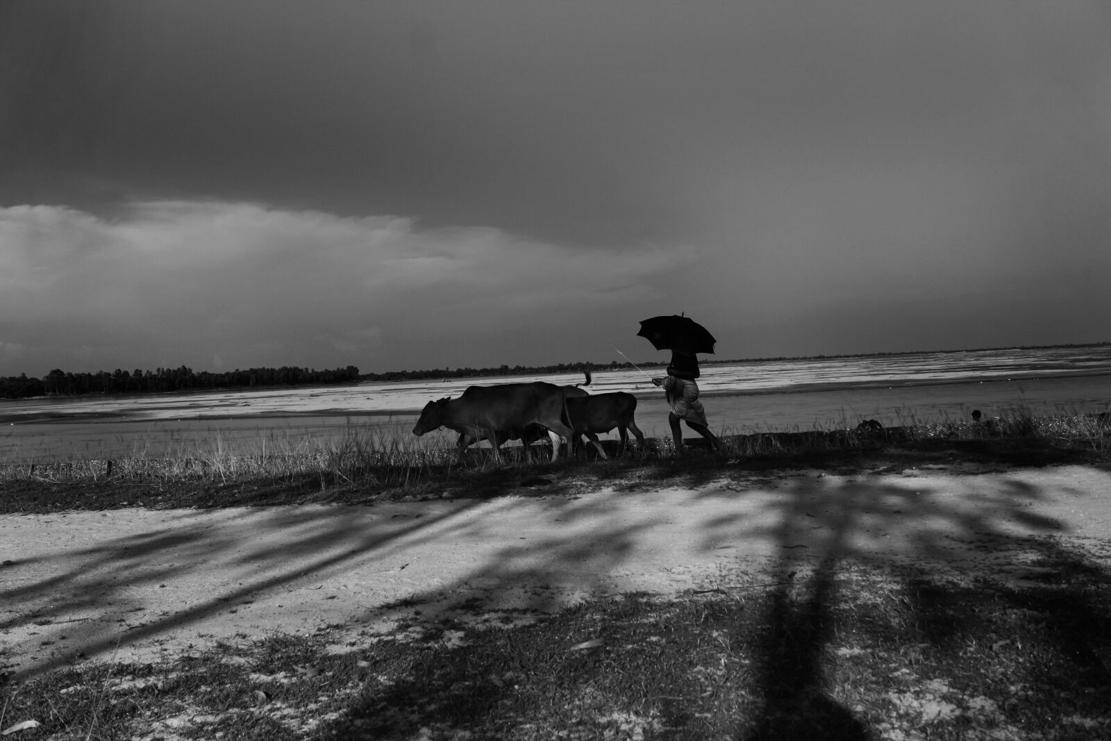 Canon EF-S 18-55mm F3.5-5.6 IS sample photo. Bangladesh, canal, cowboy, fisherman photography