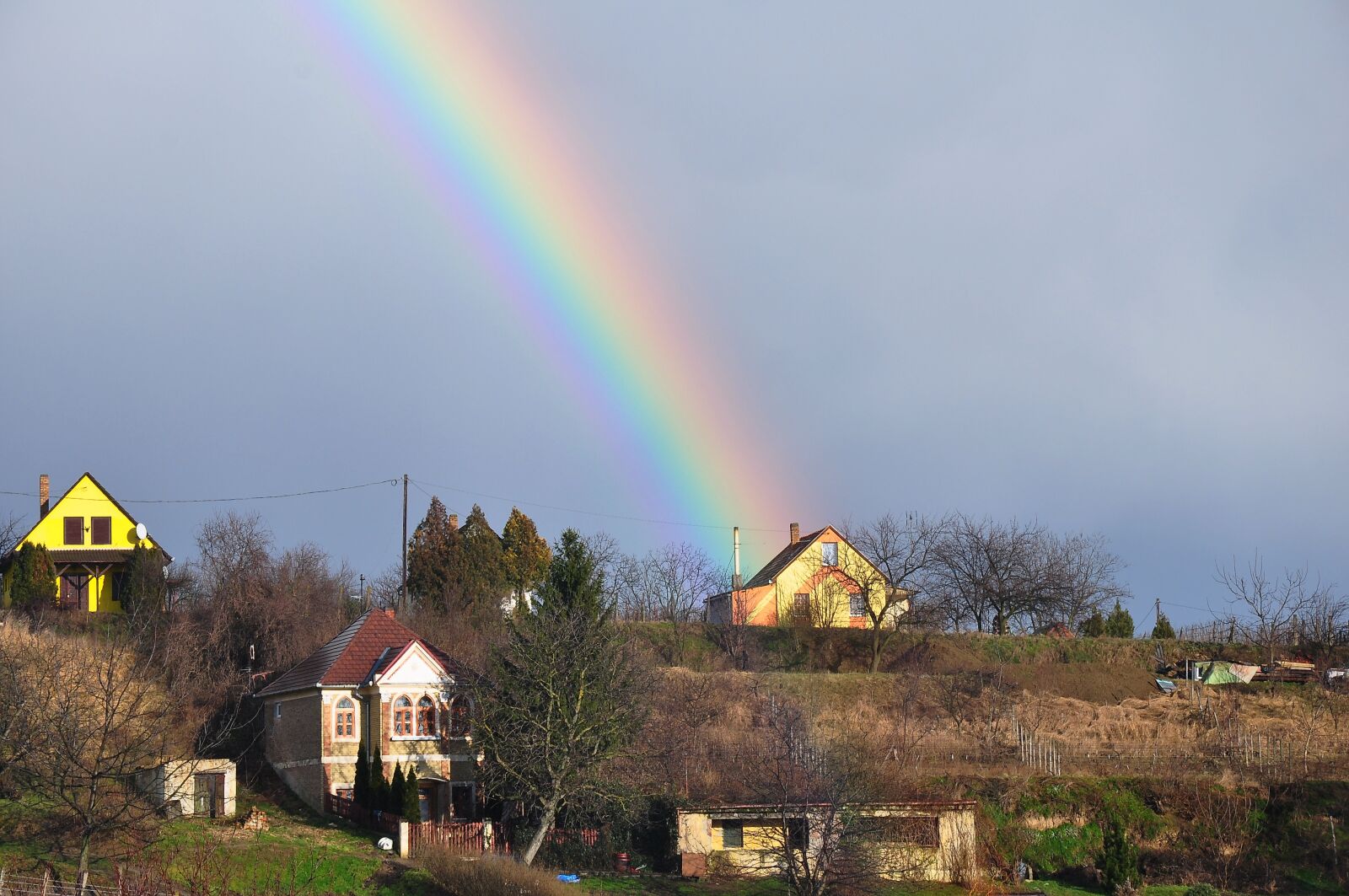 Nikon D90 sample photo. Winter, after the storm photography