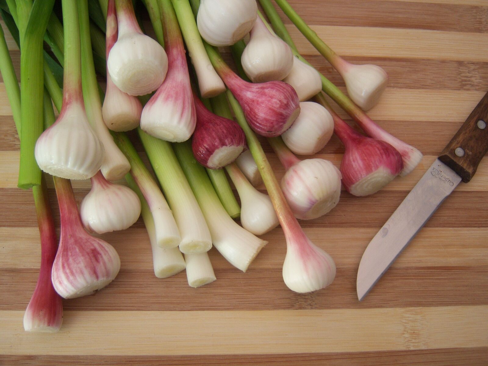 Kodak EASYSHARE V803 ZOOM DIGITAL CAMERA sample photo. Ajetes, vegetables, recipes photography