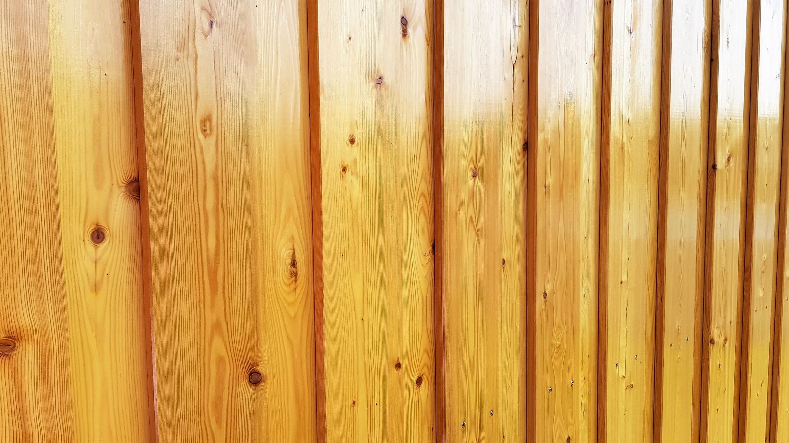 Samsung Galaxy S8 sample photo. Wood, larch, hardwood photography