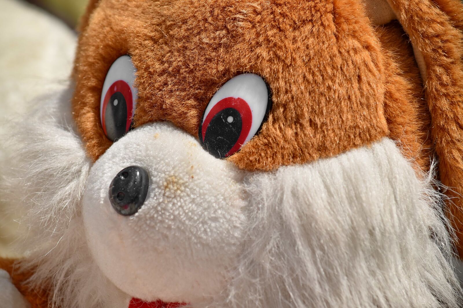 Nikon D5500 sample photo. Mascot, plush, teddy bear photography