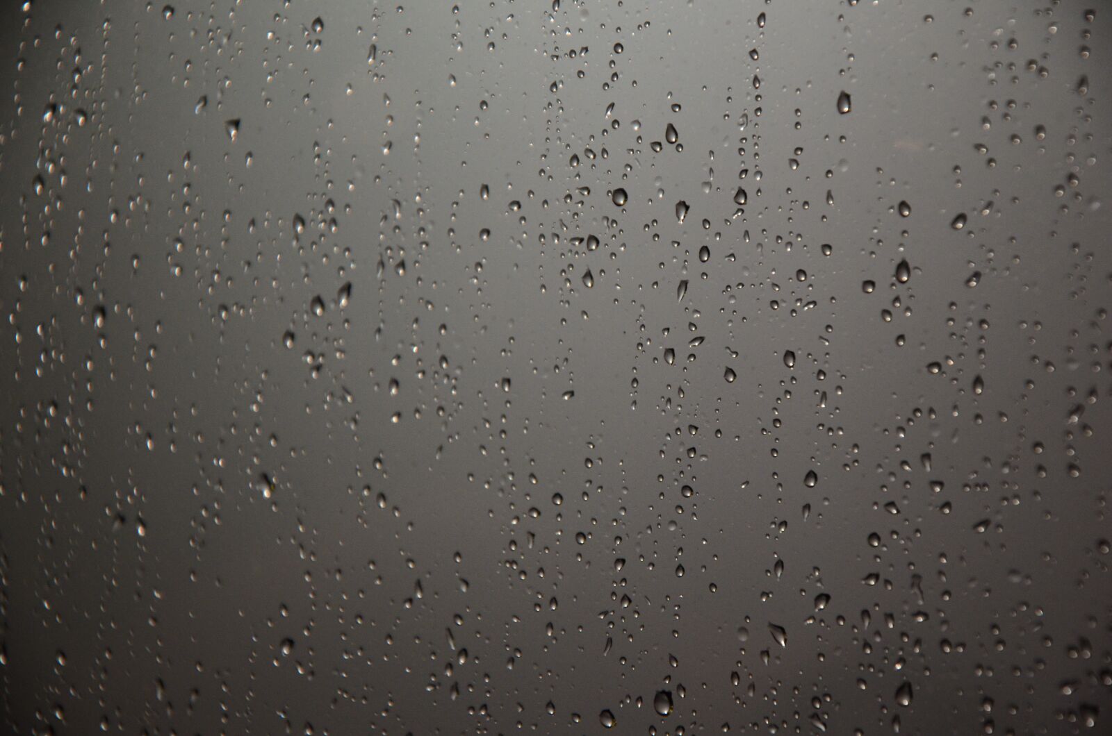 Nikon D7000 sample photo. Glow, eindhoven, light photography