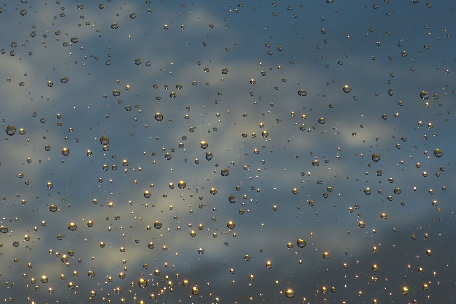 Panasonic Lumix DMC-FZ150 sample photo. Weather, rain, wet photography