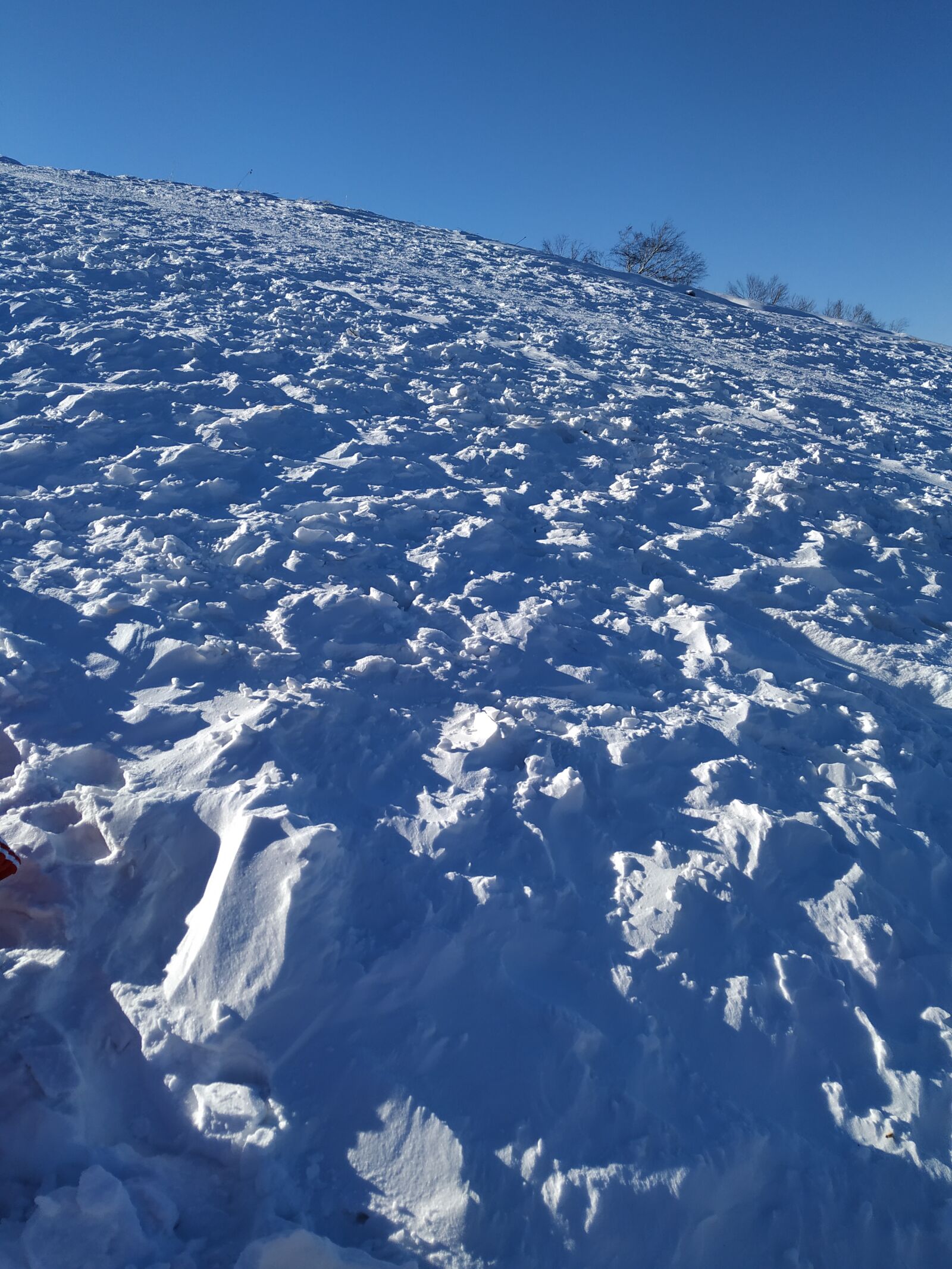 Xiaomi MI 6X sample photo. Snow mountain, old baldy photography
