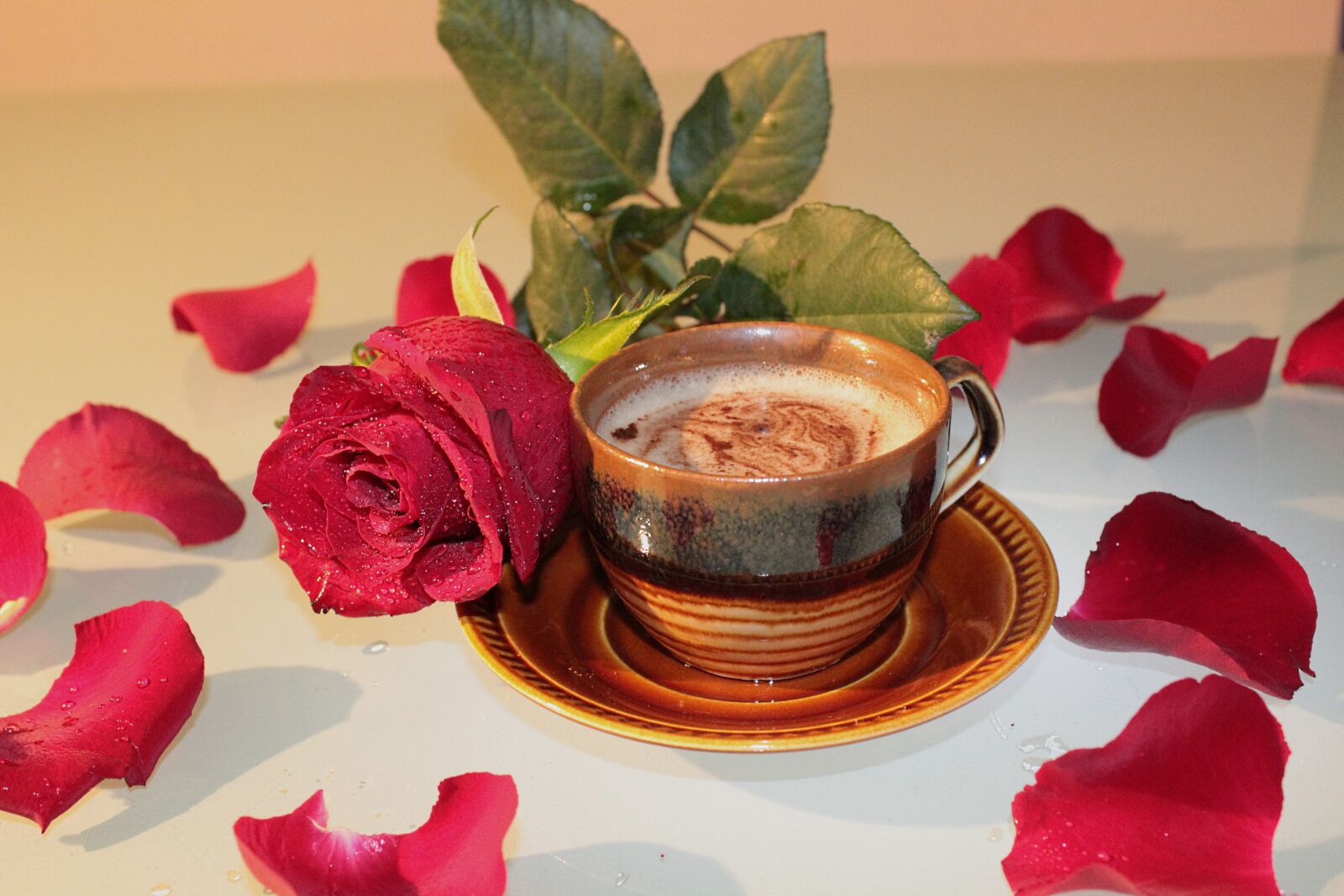 Canon EOS 600D (Rebel EOS T3i / EOS Kiss X5) sample photo. Rose, coffee, cup photography