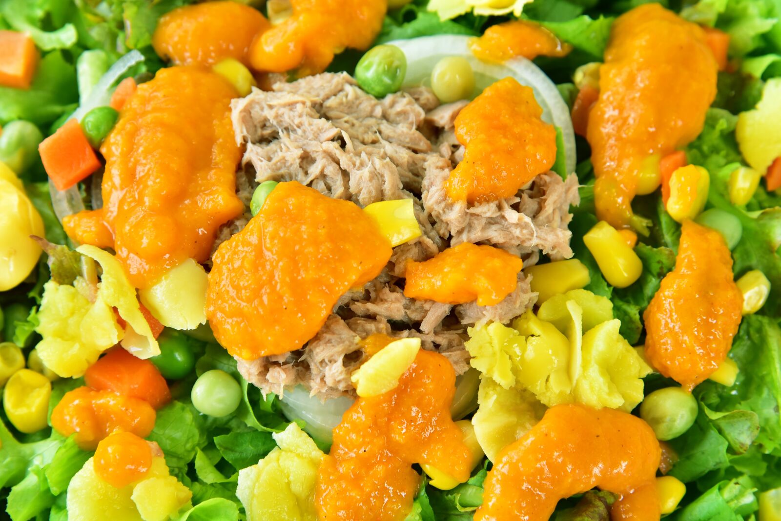 Nikon D750 sample photo. Food, meal, salad photography