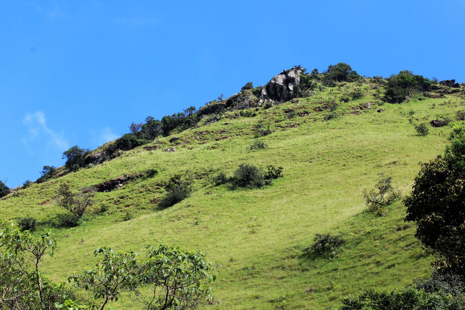 Canon EOS 1200D (EOS Rebel T5 / EOS Kiss X70 / EOS Hi) sample photo. Scenery, sky, green photography