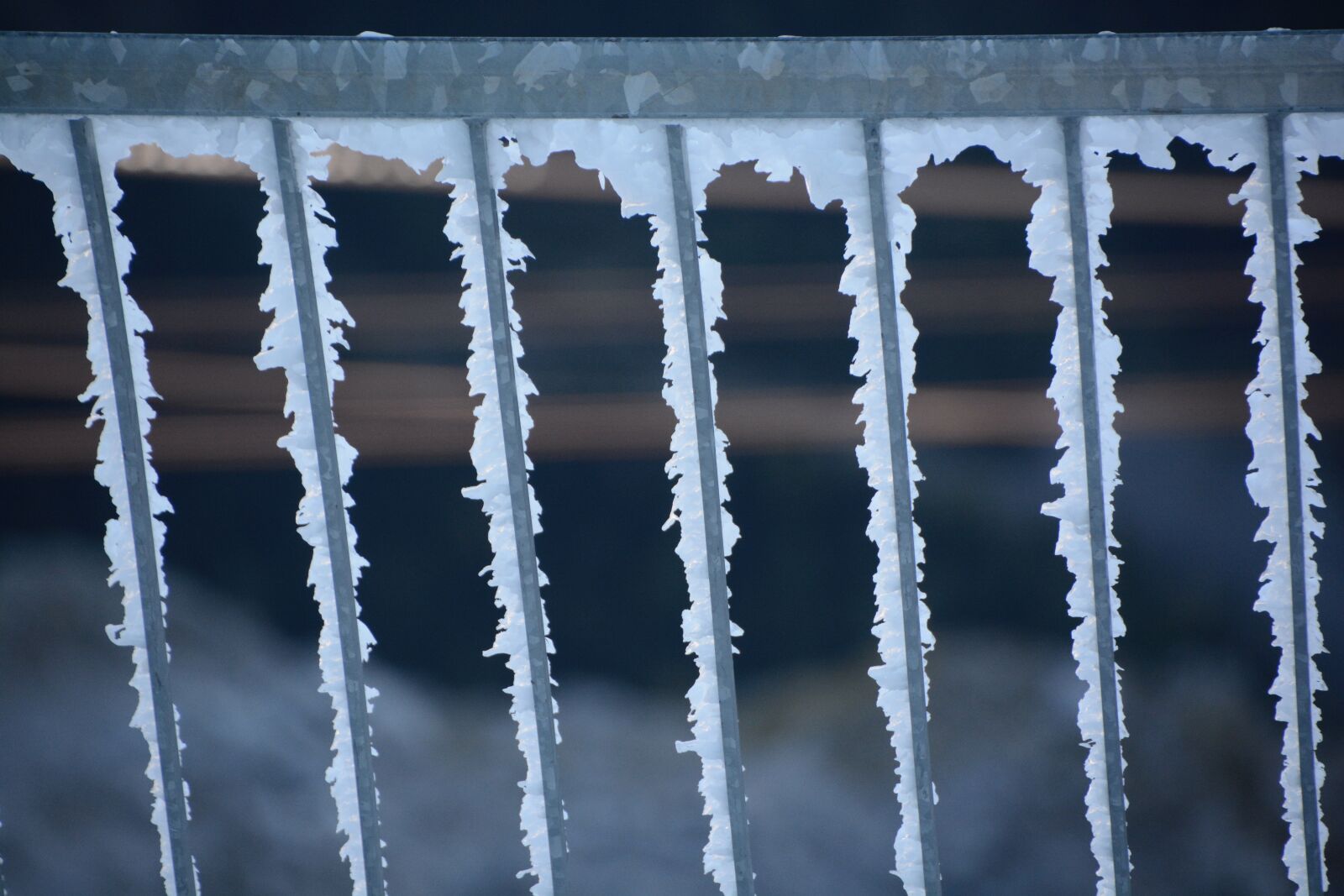 Nikon D7100 sample photo. Frost, cold, snow photography