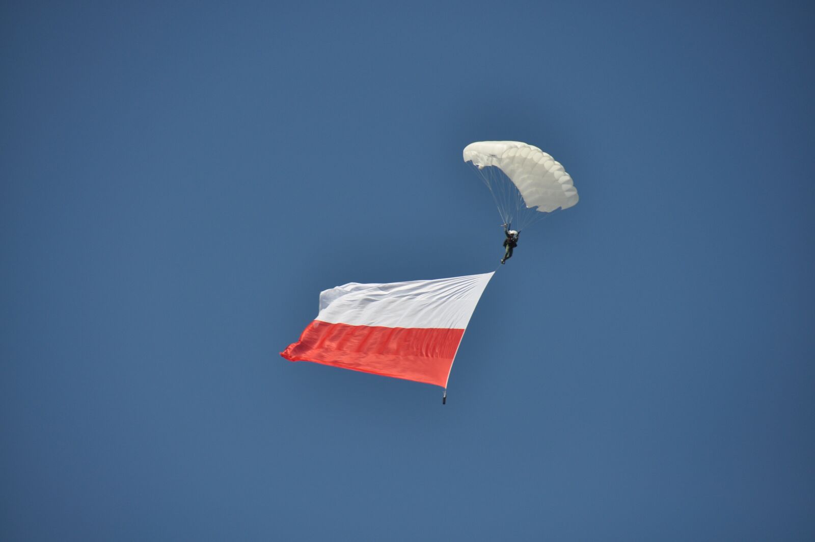 Nikon D90 sample photo. Flag, poland, sky photography