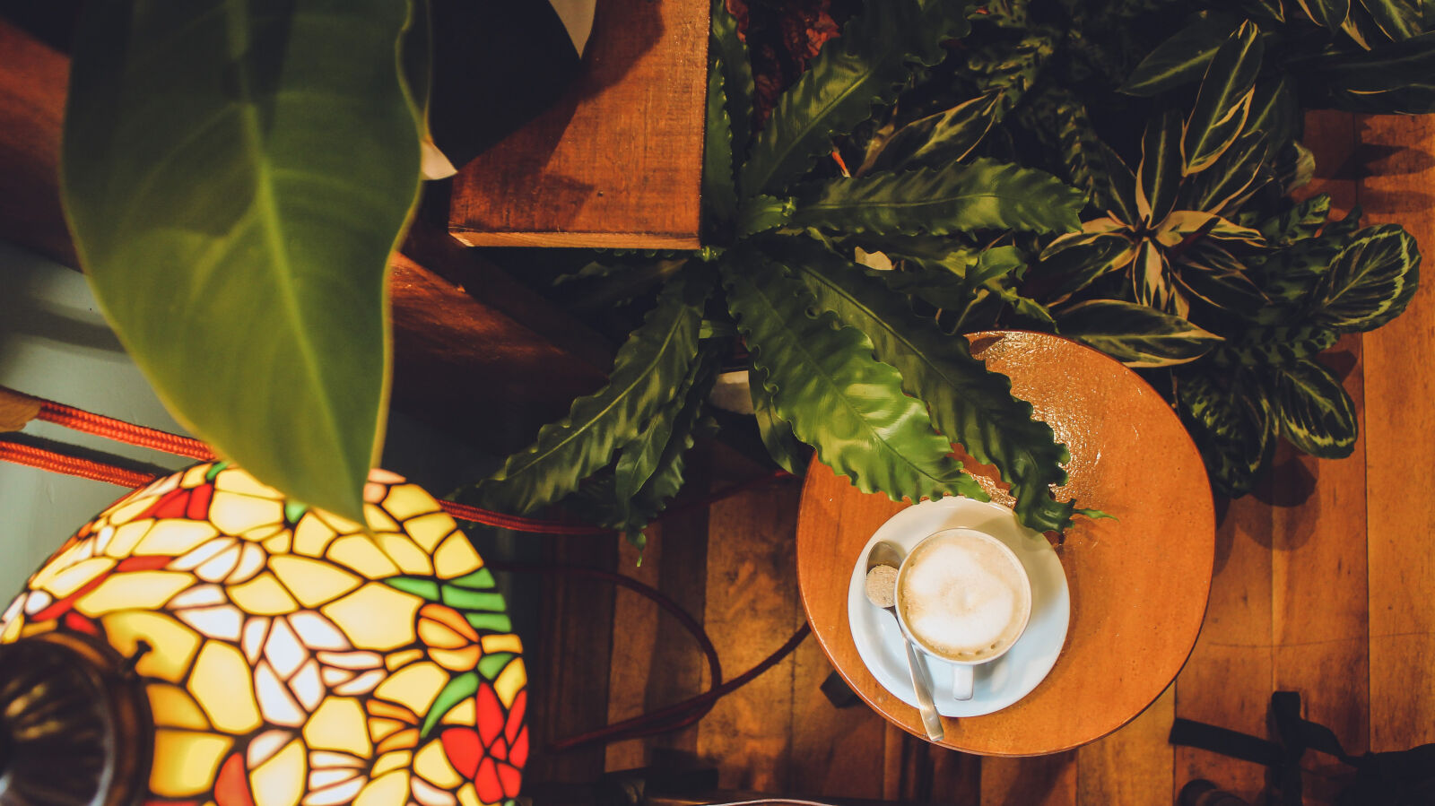 Canon EOS 600D (Rebel EOS T3i / EOS Kiss X5) sample photo. Coffee, plant, coffee, shop photography