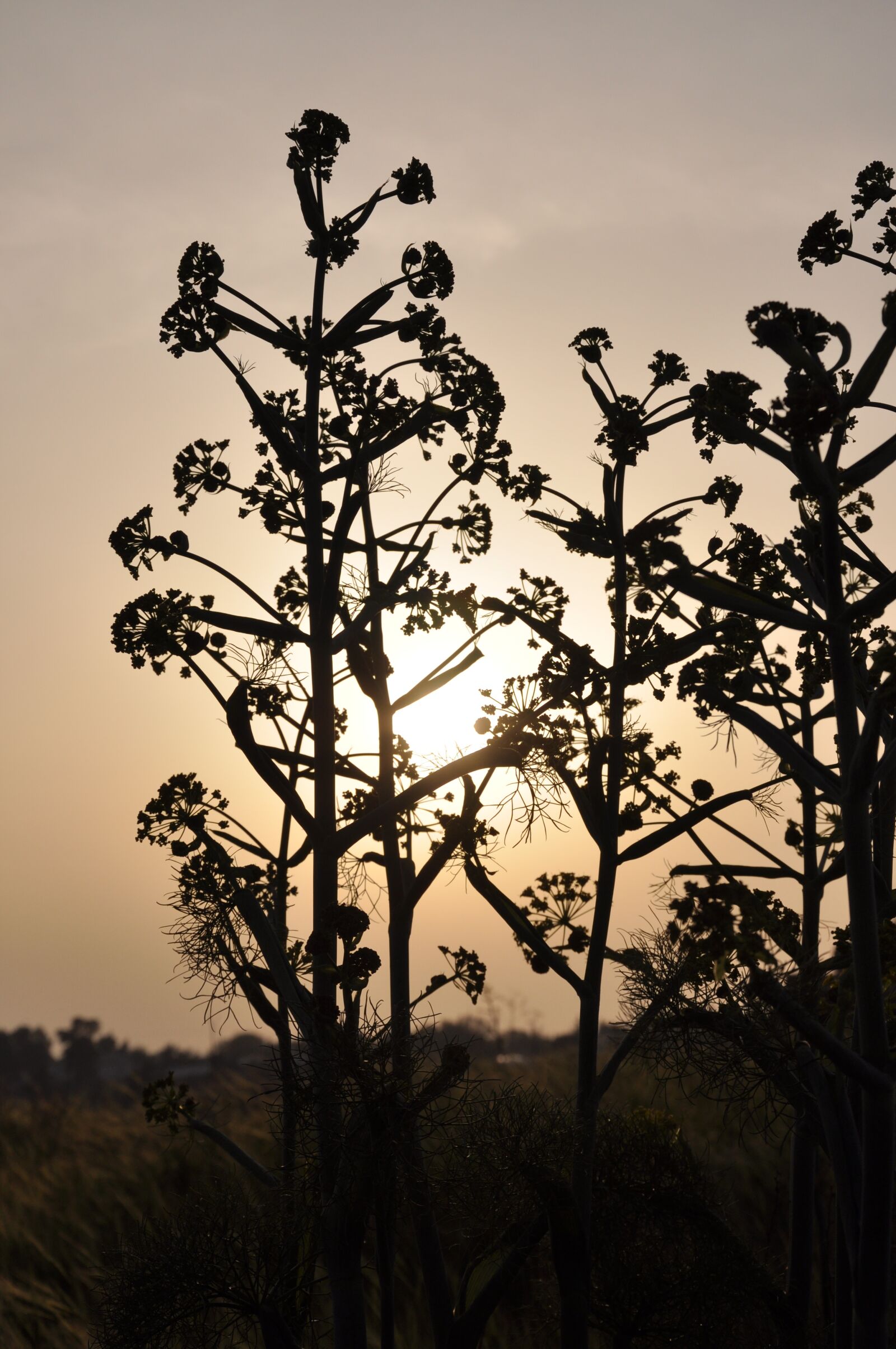 Nikon D90 sample photo. Mood, abendstimmung, twilight photography