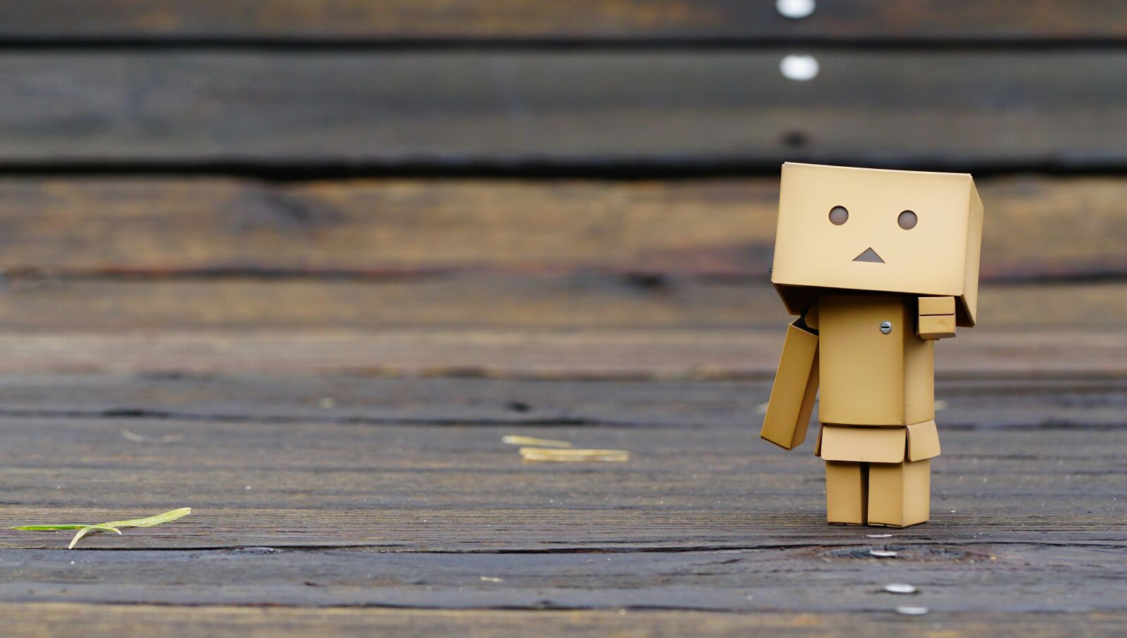Sony a6000 + Sony FE 90mm F2.8 Macro G OSS sample photo. Danboard, pvc figure, doll photography