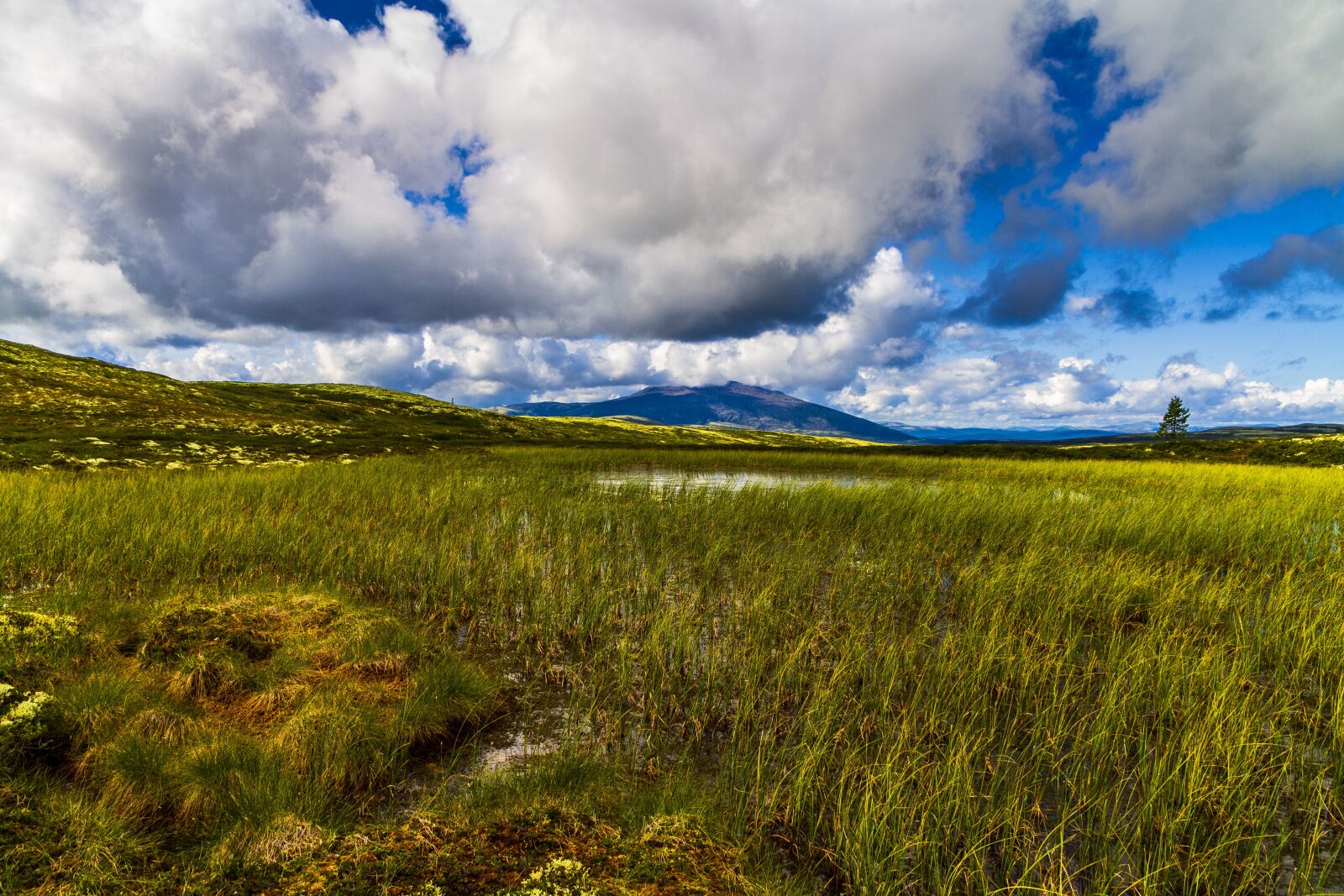 Canon EOS 7D sample photo. Mountain, heather, sky photography