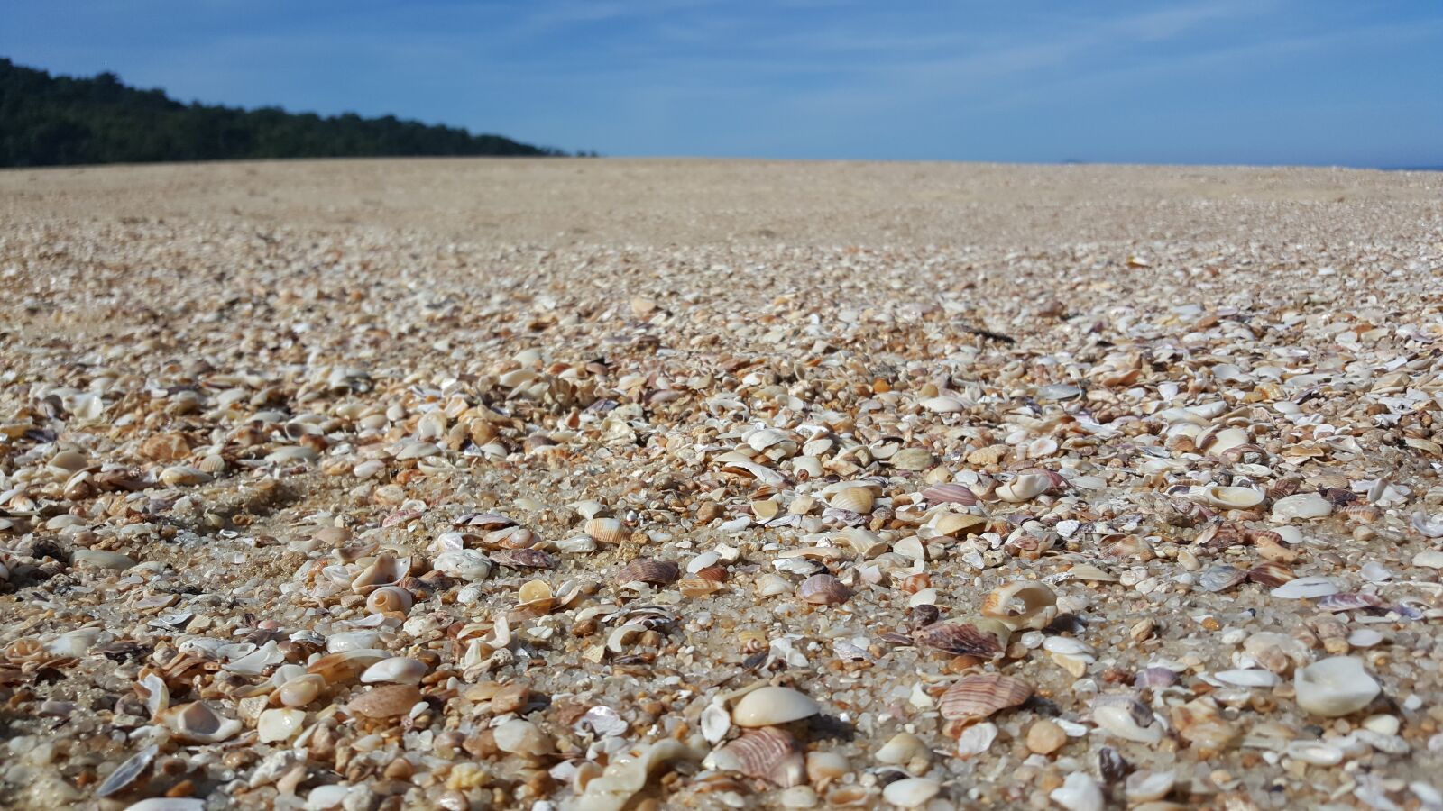 Samsung Galaxy S6 sample photo. Beach, shells, sky photography