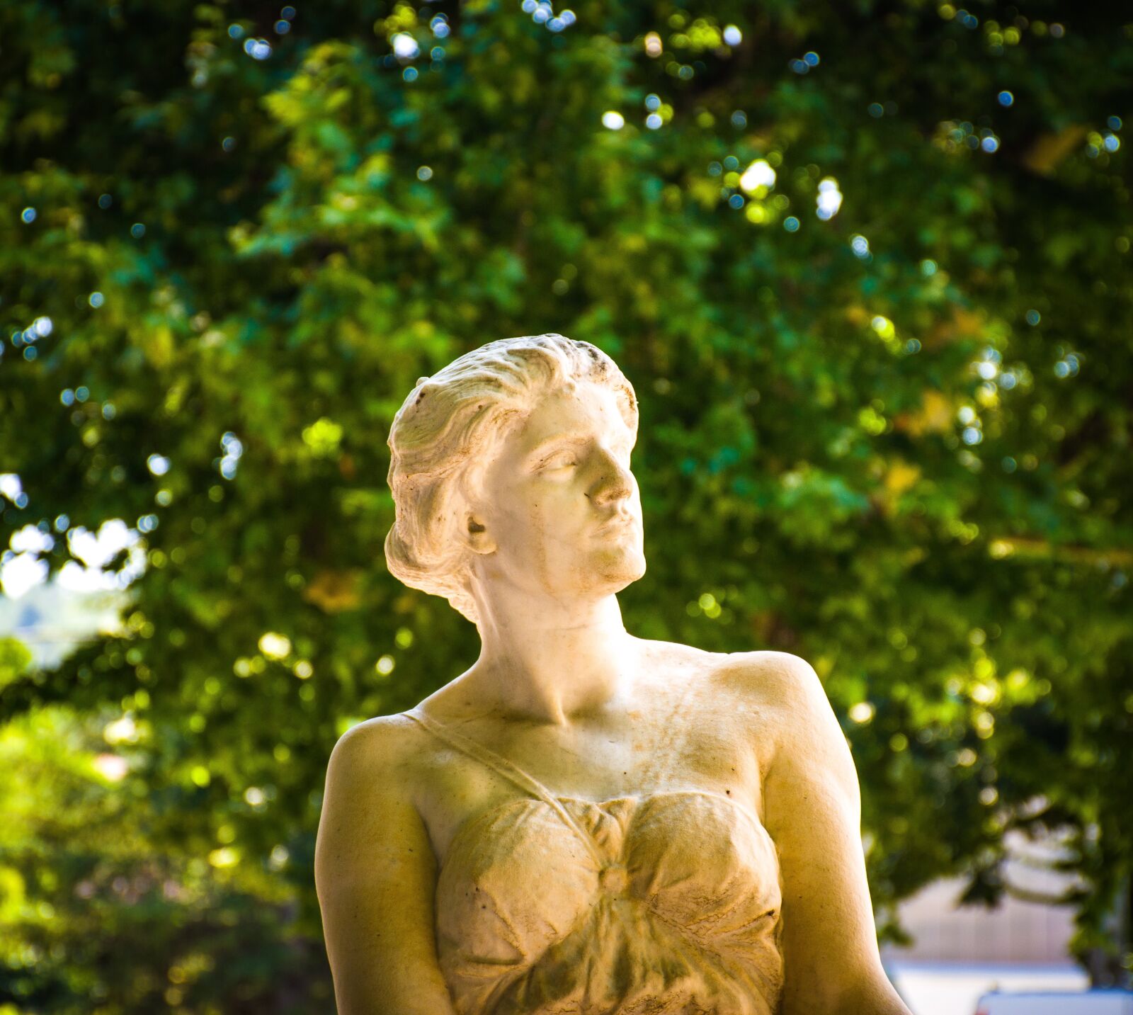 Nikon D5600 sample photo. Statue, bust, head photography