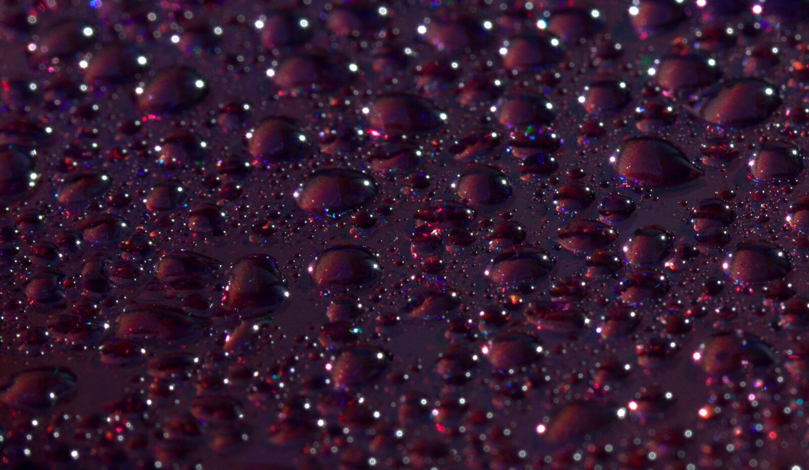 Canon EF-S 60mm F2.8 Macro USM sample photo. Drops, water, macro photography