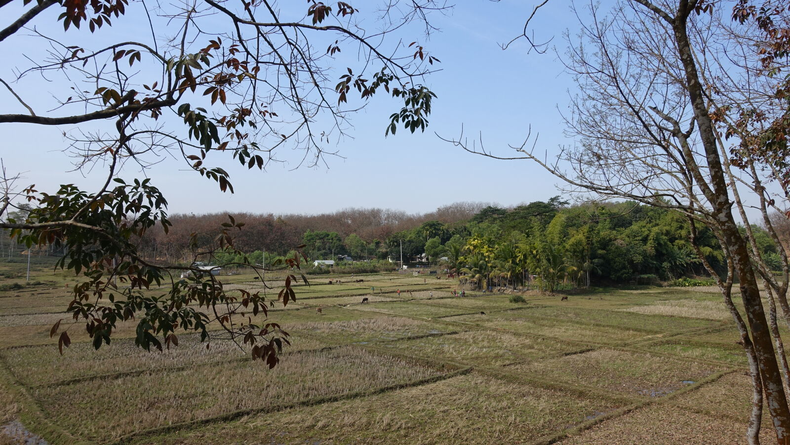 Sony Cyber-shot DSC-RX100 III sample photo. Blue, sky, nature photography