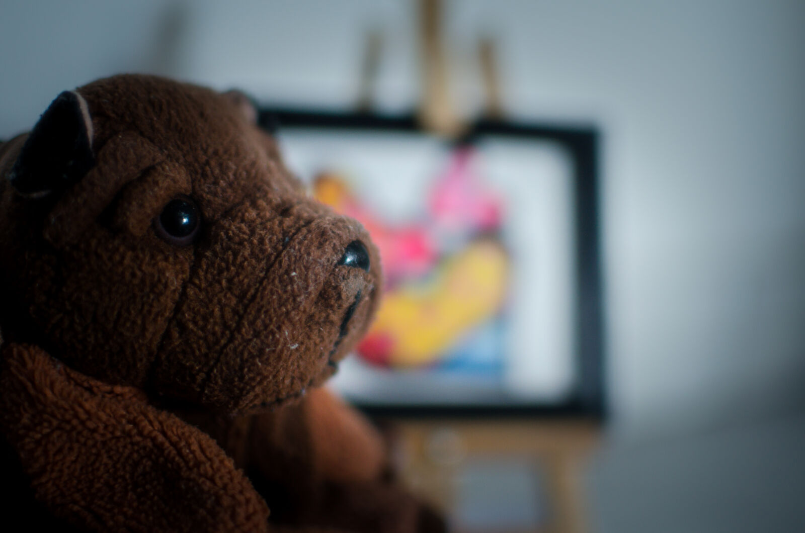 Nikon D5100 + Nikon AF-S DX Nikkor 35mm F1.8G sample photo. Bear, dusty, old, portrait photography