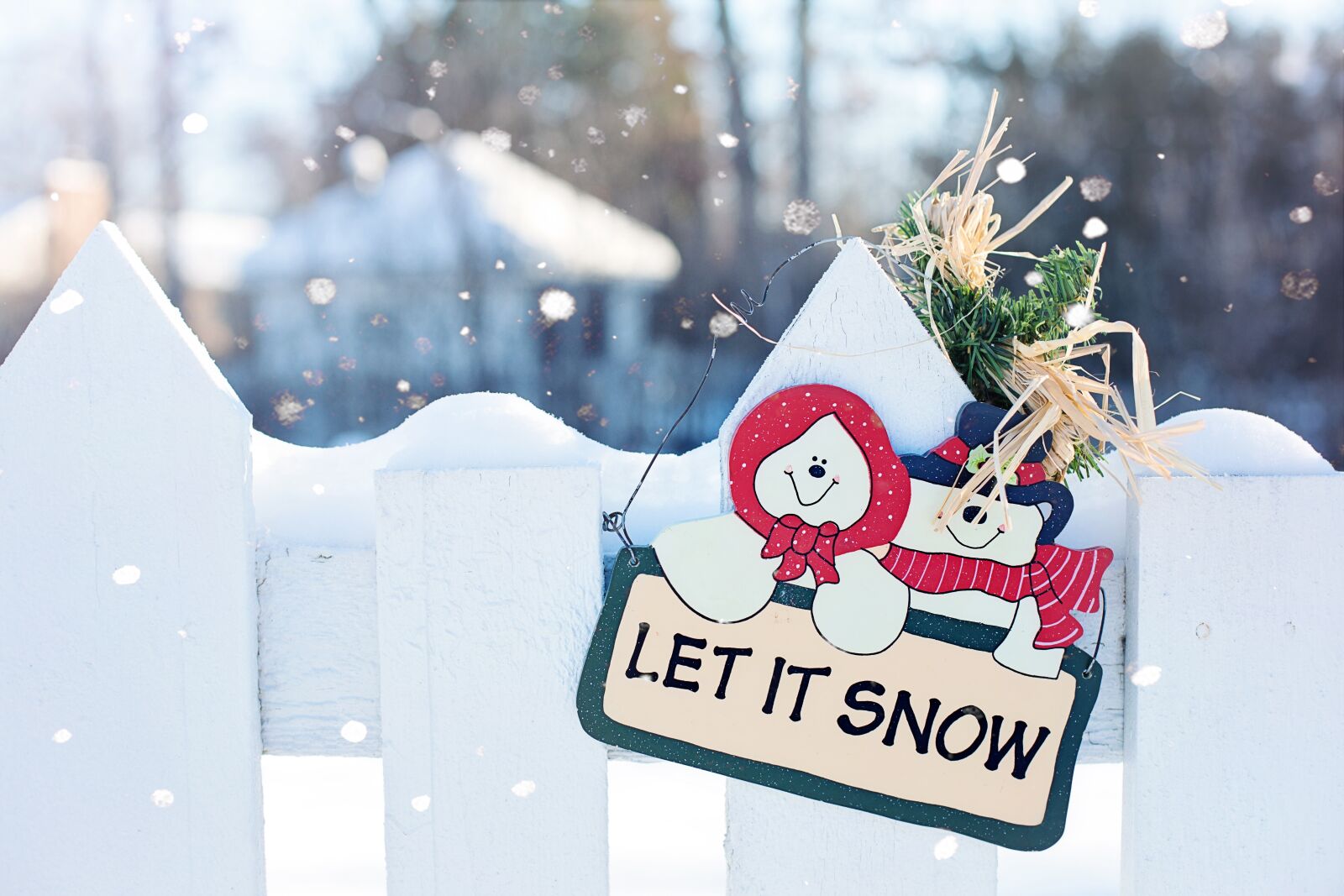 Canon EF 50mm F1.4 USM sample photo. Let it snow, winter photography