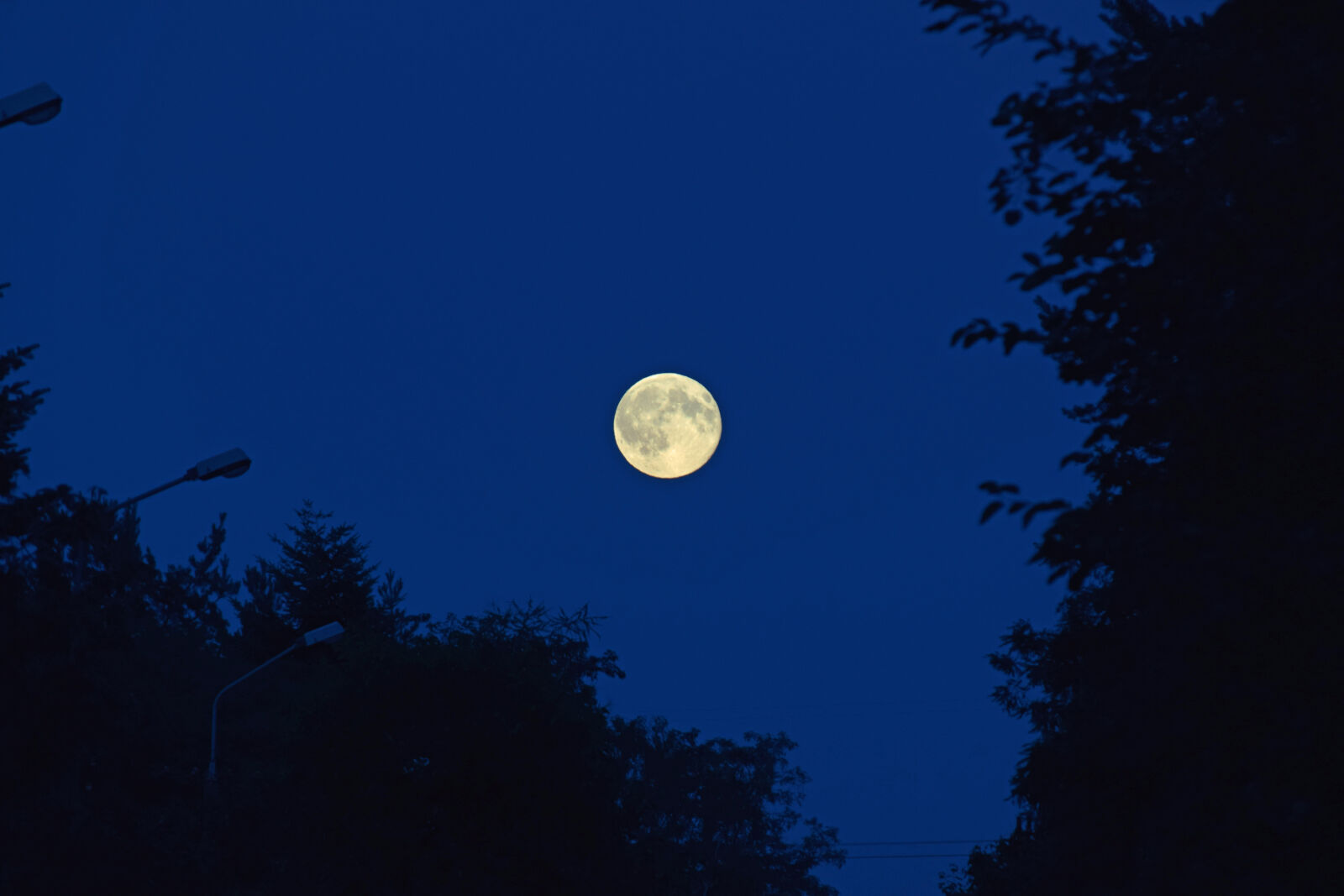 Nikon D3300 sample photo. Blue, moon, full, moon photography